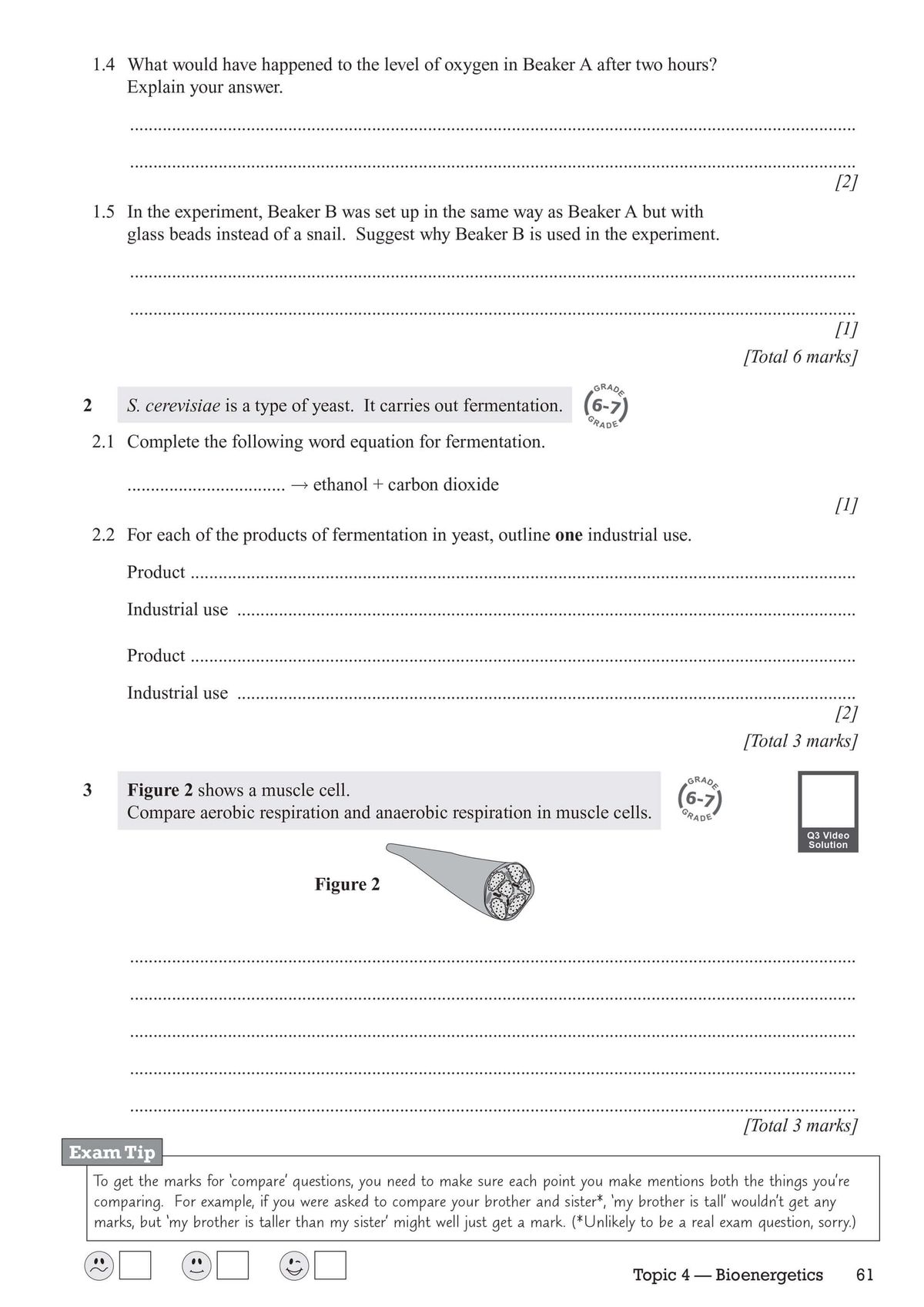 Sample exam questions on respiration and fermentation with space for answers