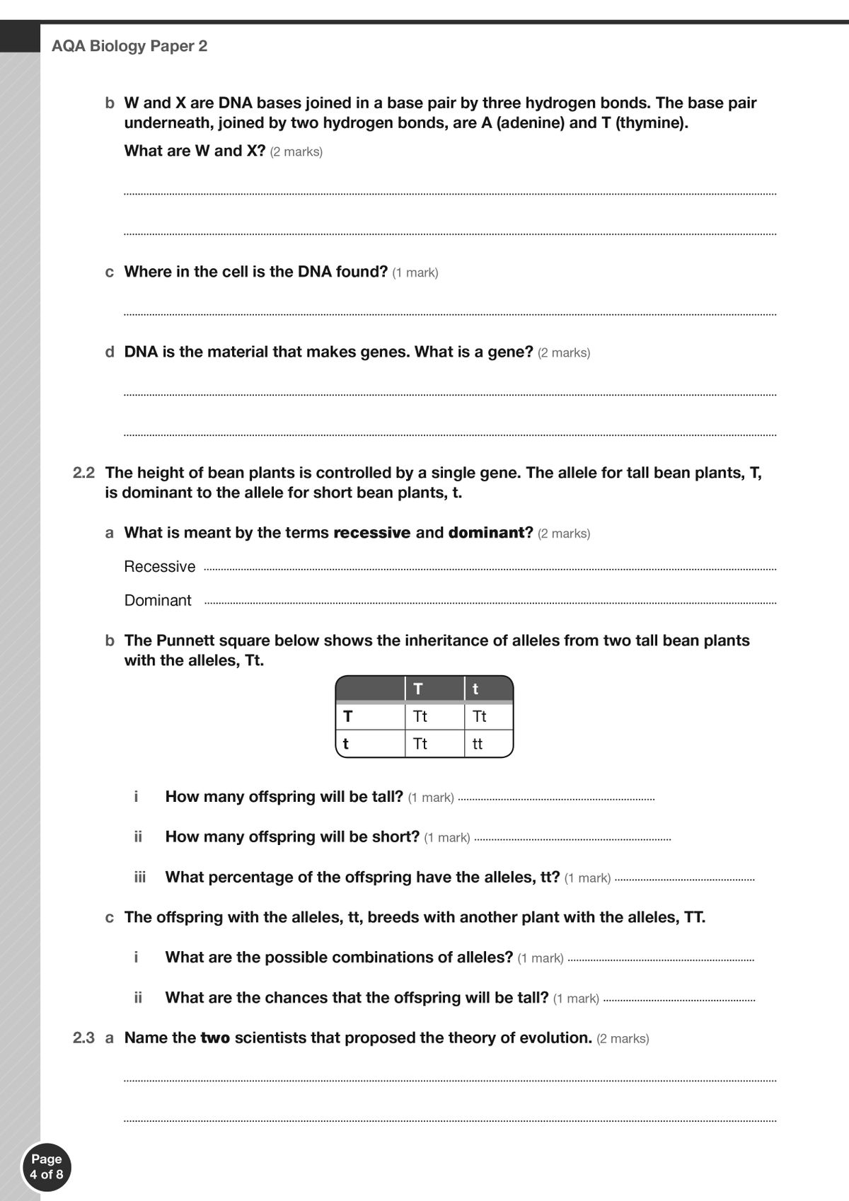 Practice exam questions on genetics including Punnett squares and inheritance