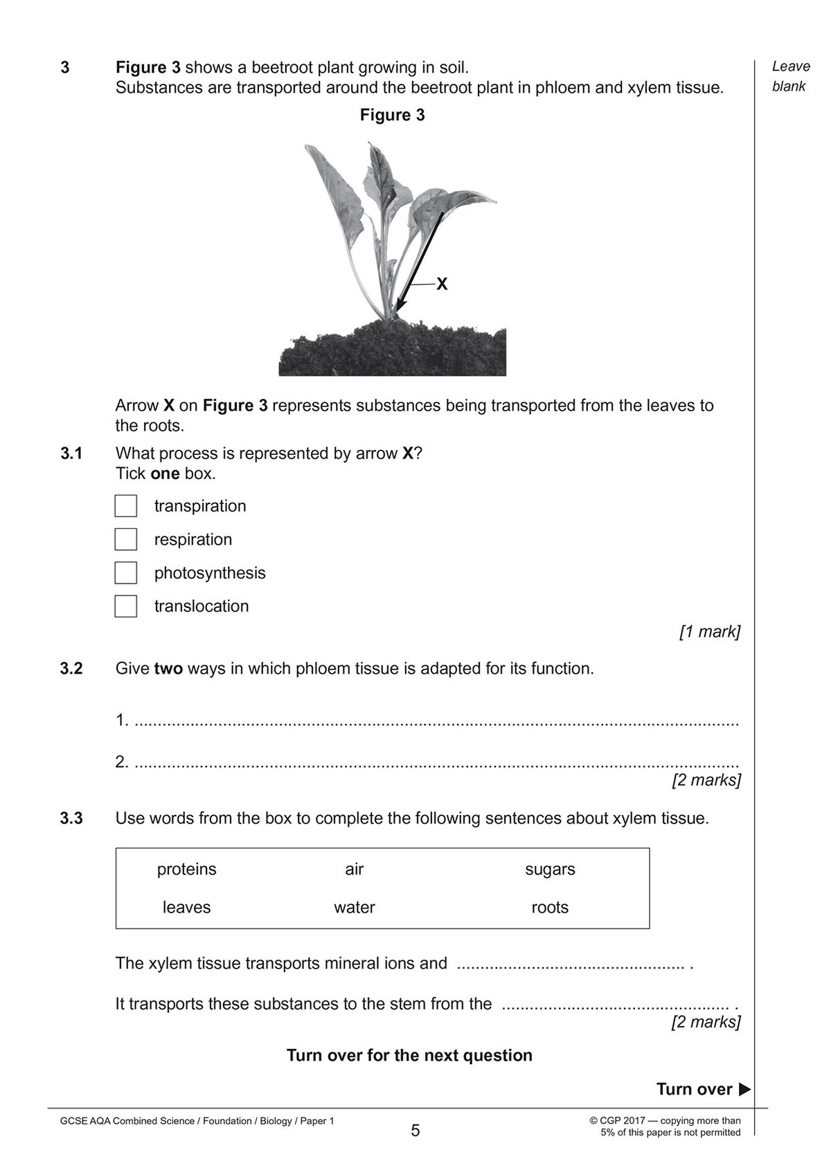 Sample Biology Foundation practice paper showing palisade cell diagram question