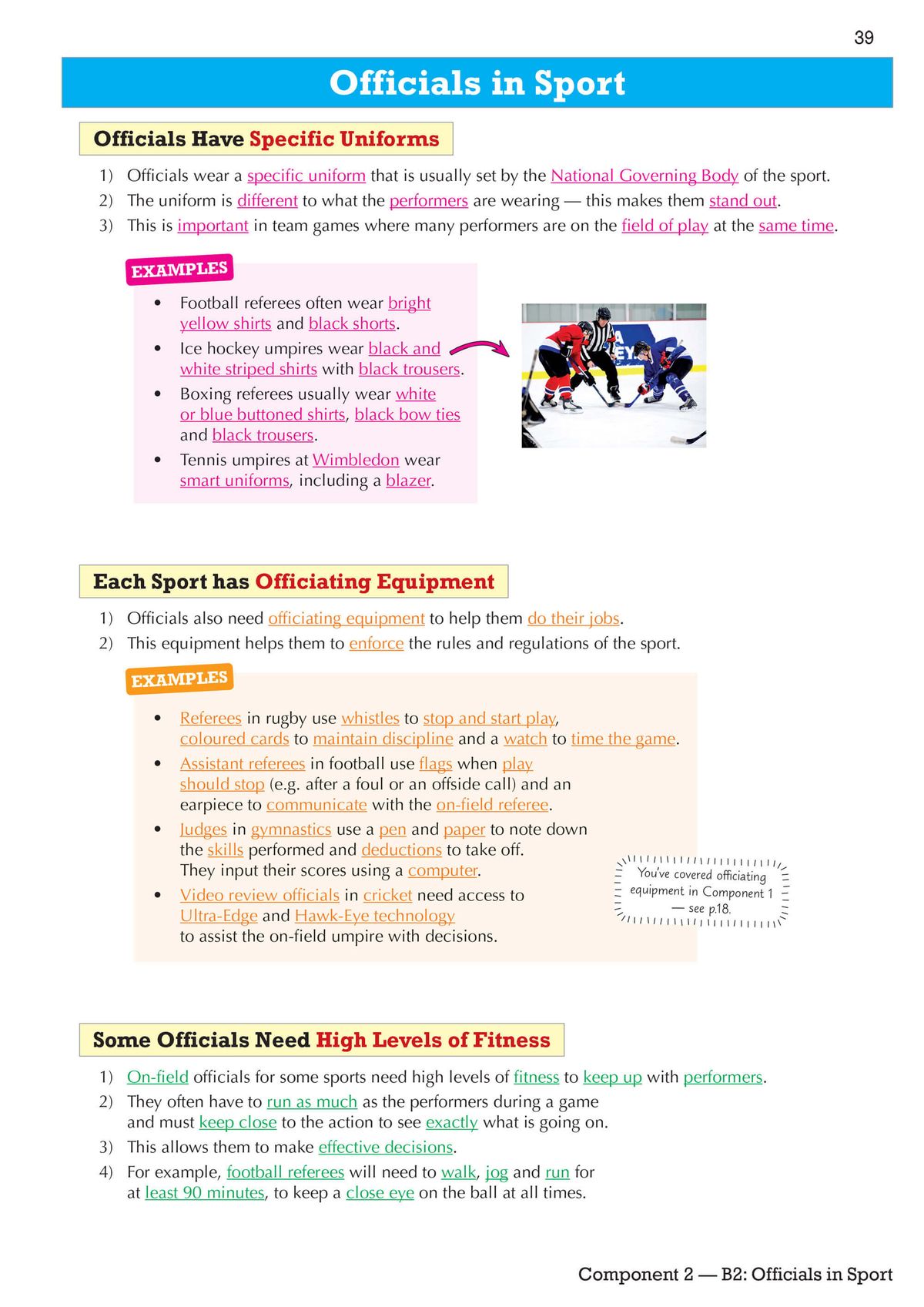 Sample page showing Officials in Sport with colour-coded sections and examples