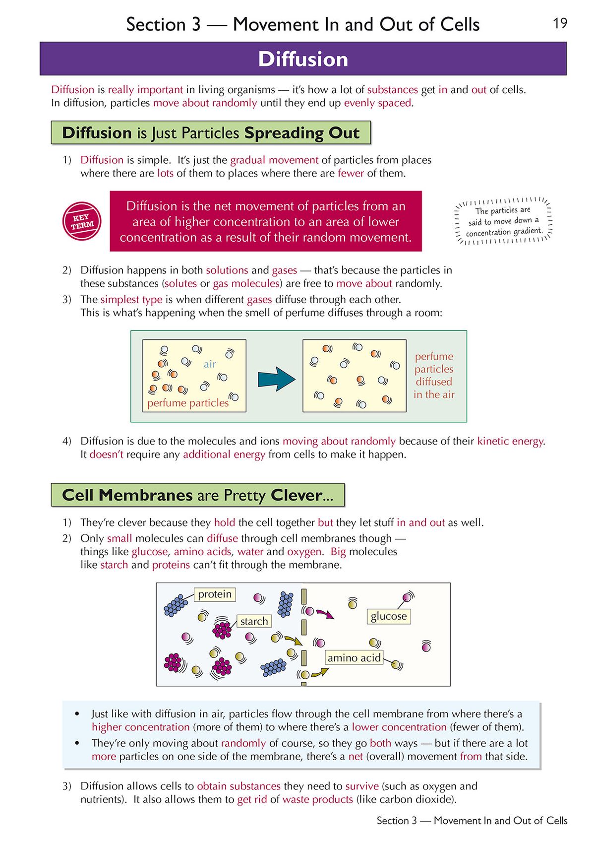 Sample page showing diffusion topic with diagrams and colour-coded explanations