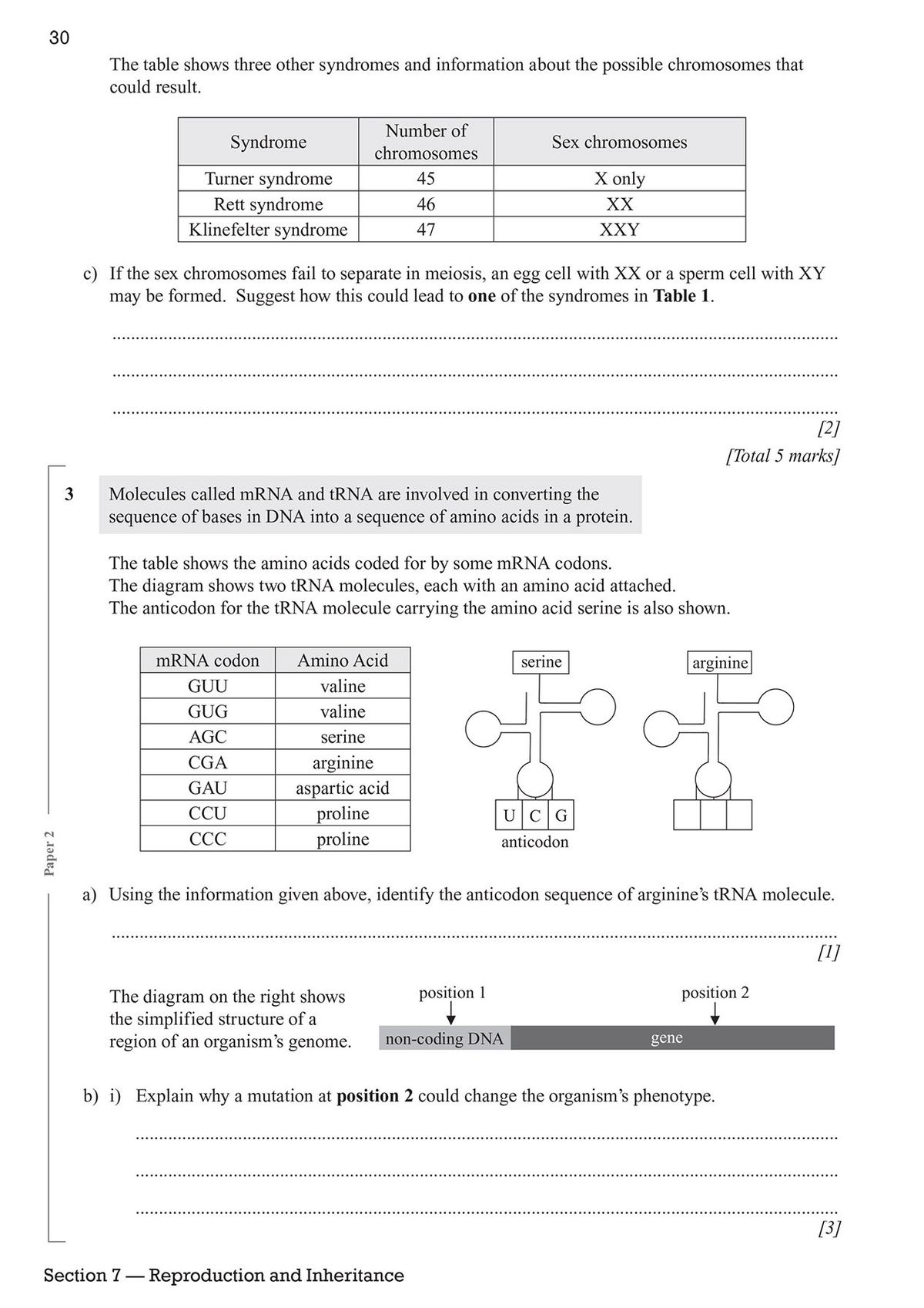 Detailed exam question on protein synthesis, DNA and amino acids