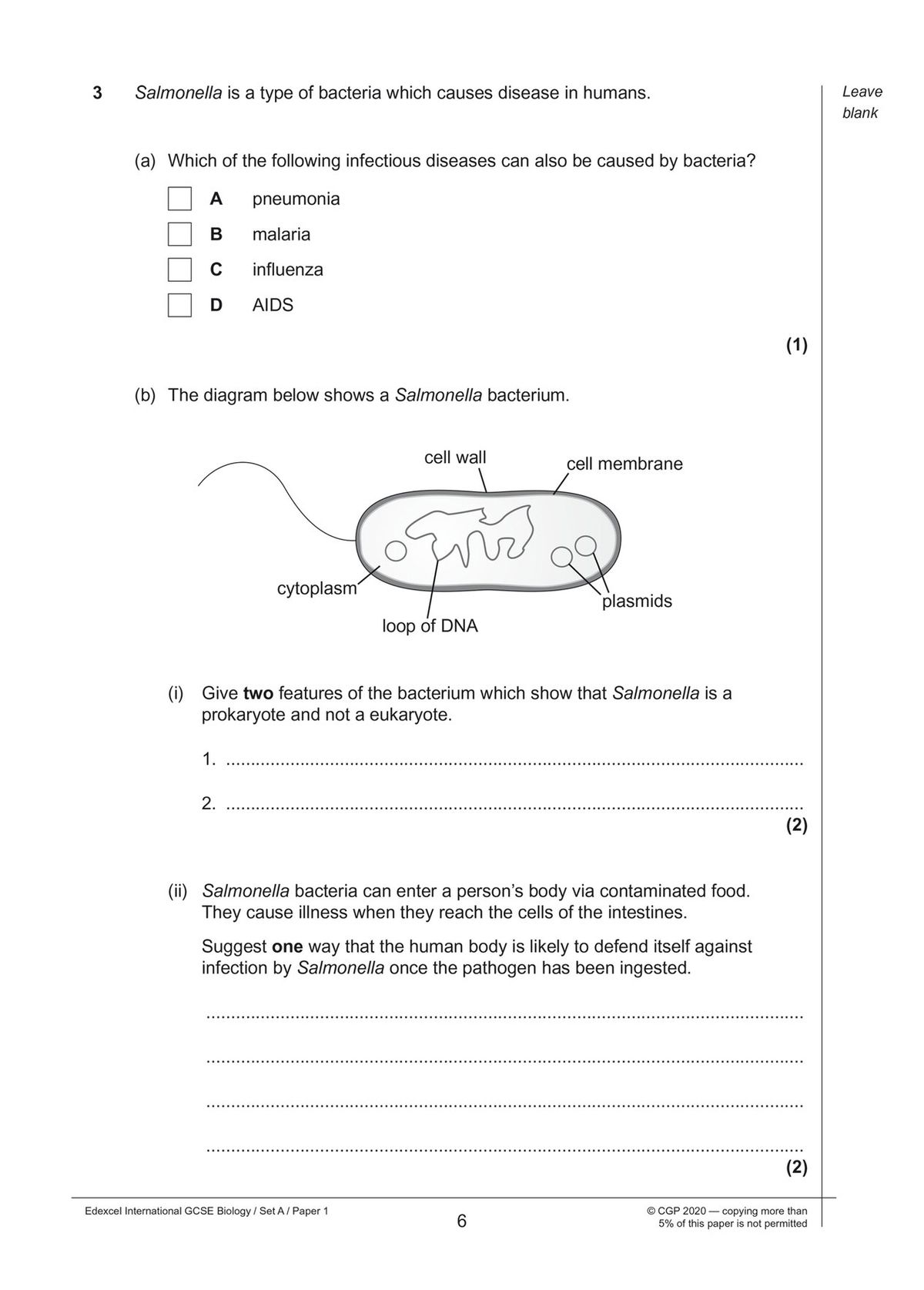 Bacterium diagram question with cell structures labelled and space for written responses