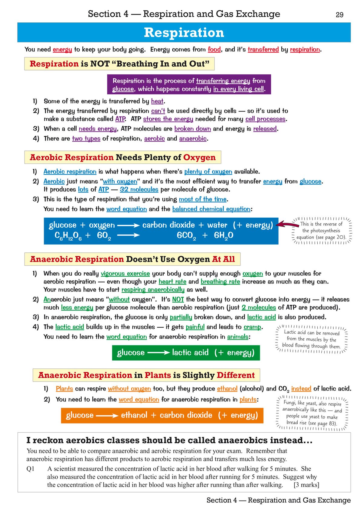 Sample page showing aerobic and anaerobic respiration, including word equations and balanced chemical equations