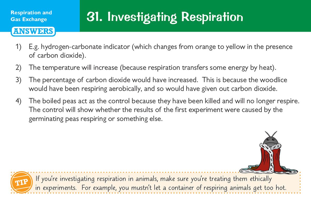 Sample card showing Quick Questions and Now Try These on gas exchange in flowering plants