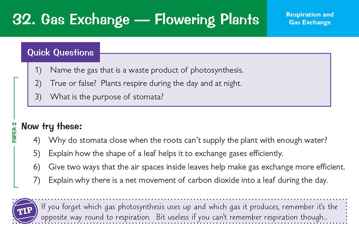 Answer side of a card explaining respiration experiments with detailed solutions