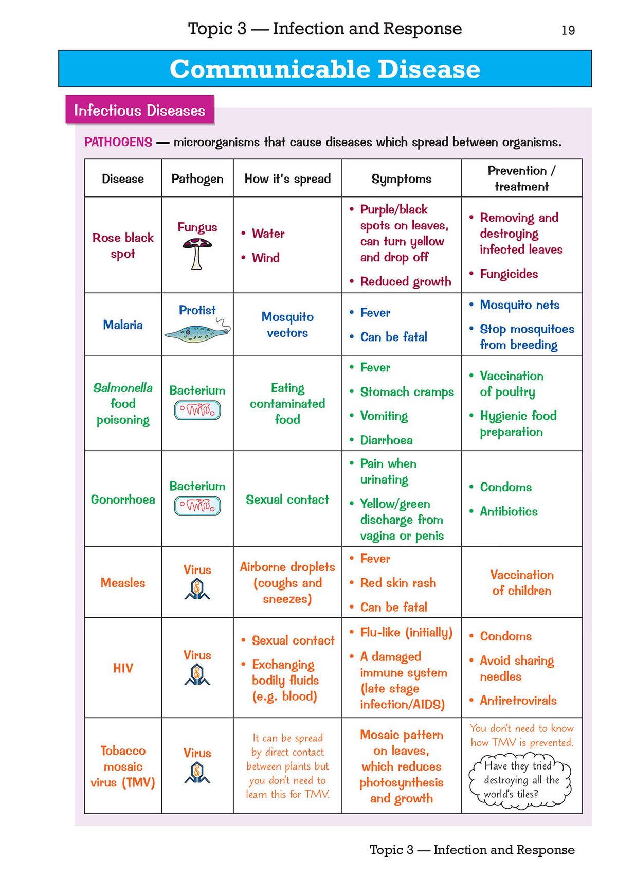 Table showing communicable diseases with pathogens, symptoms and prevention methods