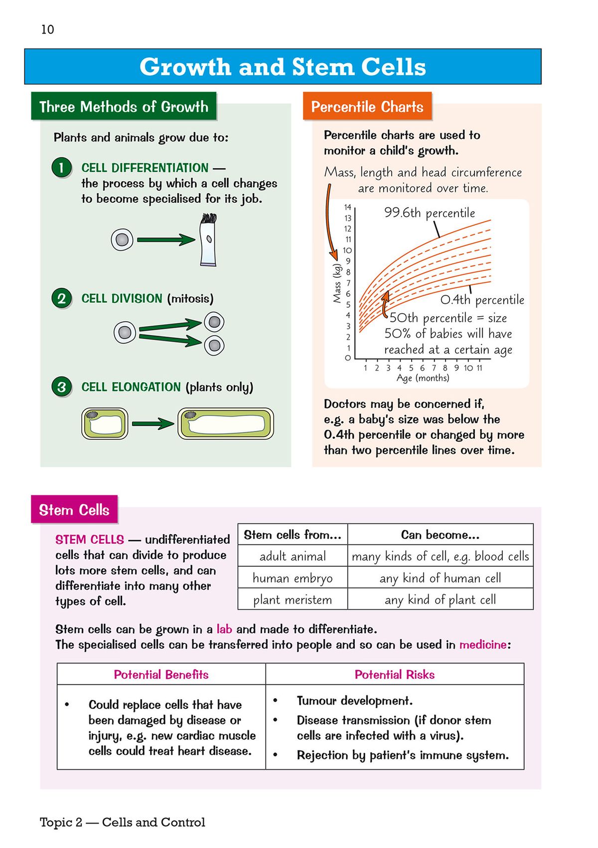 Growth and Stem Cells spread showing cell differentiation, division and elongation diagrams plus percentile charts