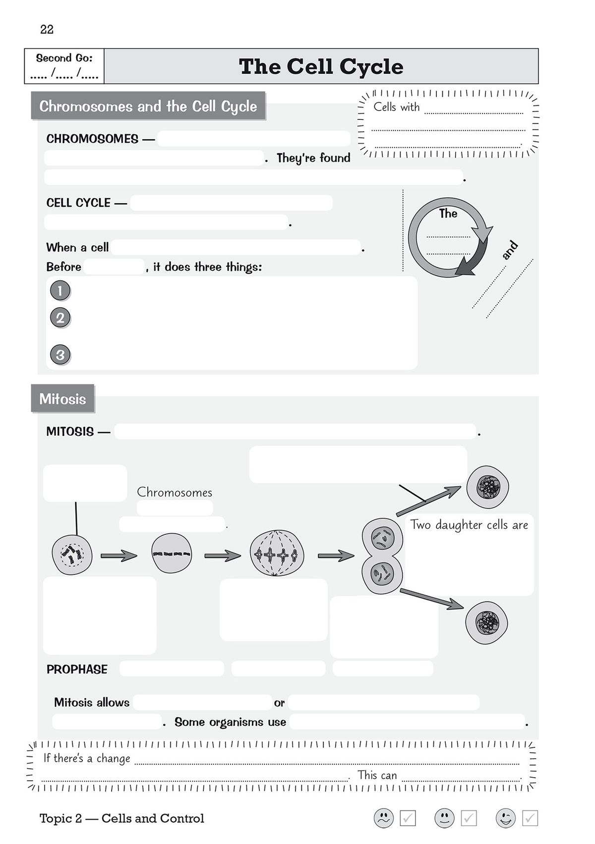 Second Go retrieval page for the cell cycle with fewer prompts and increased difficulty