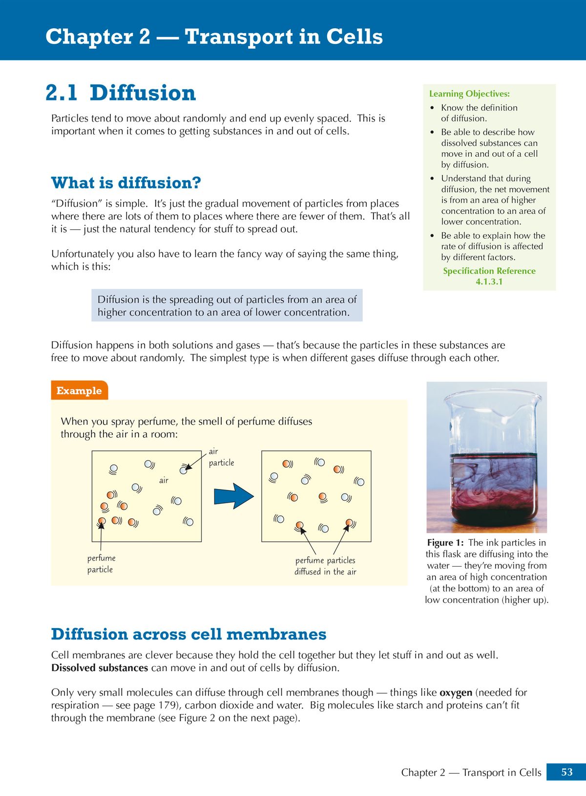 Inside page showing Chapter 2 on Transport in Cells with clear diagrams explaining diffusion