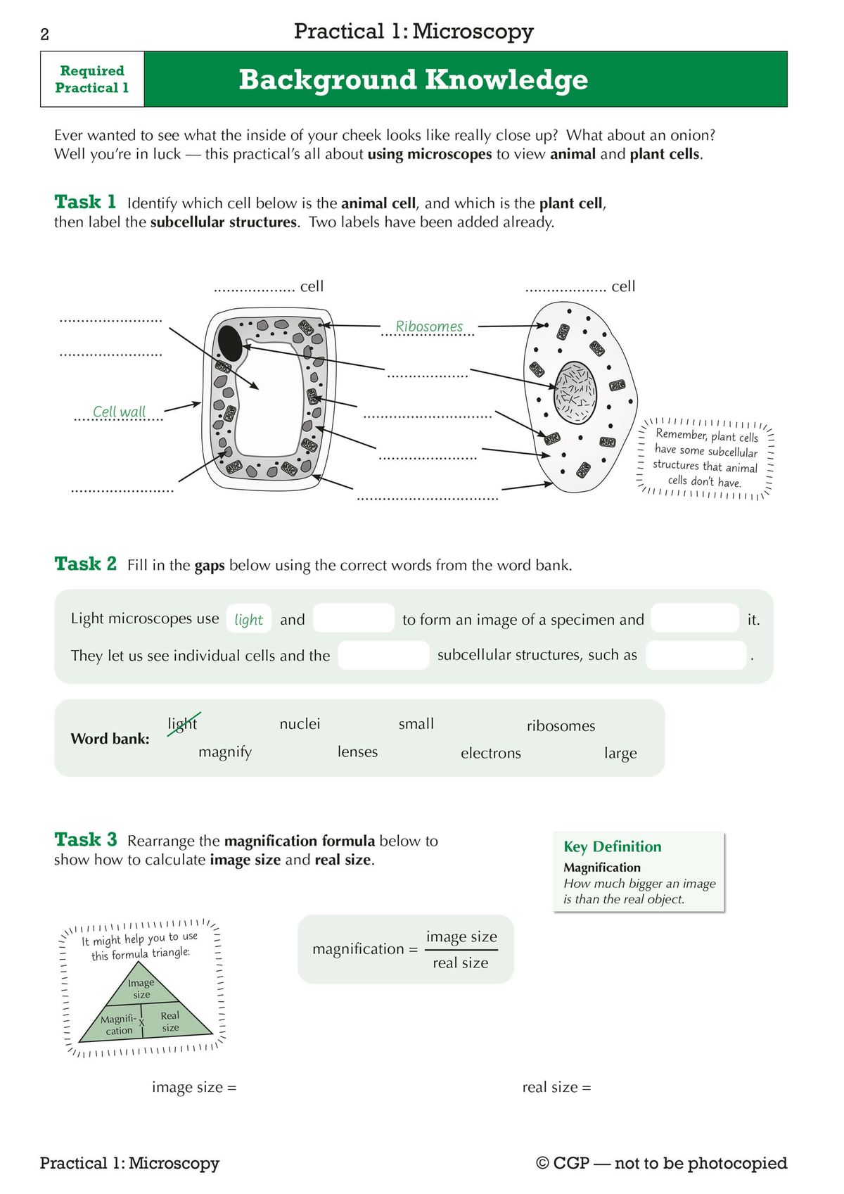 Sample pages showing background knowledge tasks and practical guidance for microscopy
