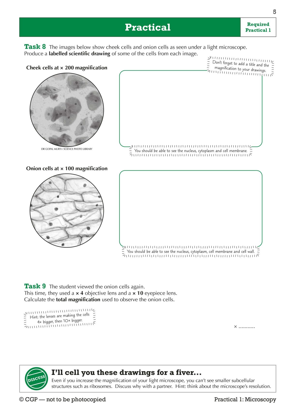 Example of microscopy practical tasks showing drawing exercises and magnification calculations with guided prompts