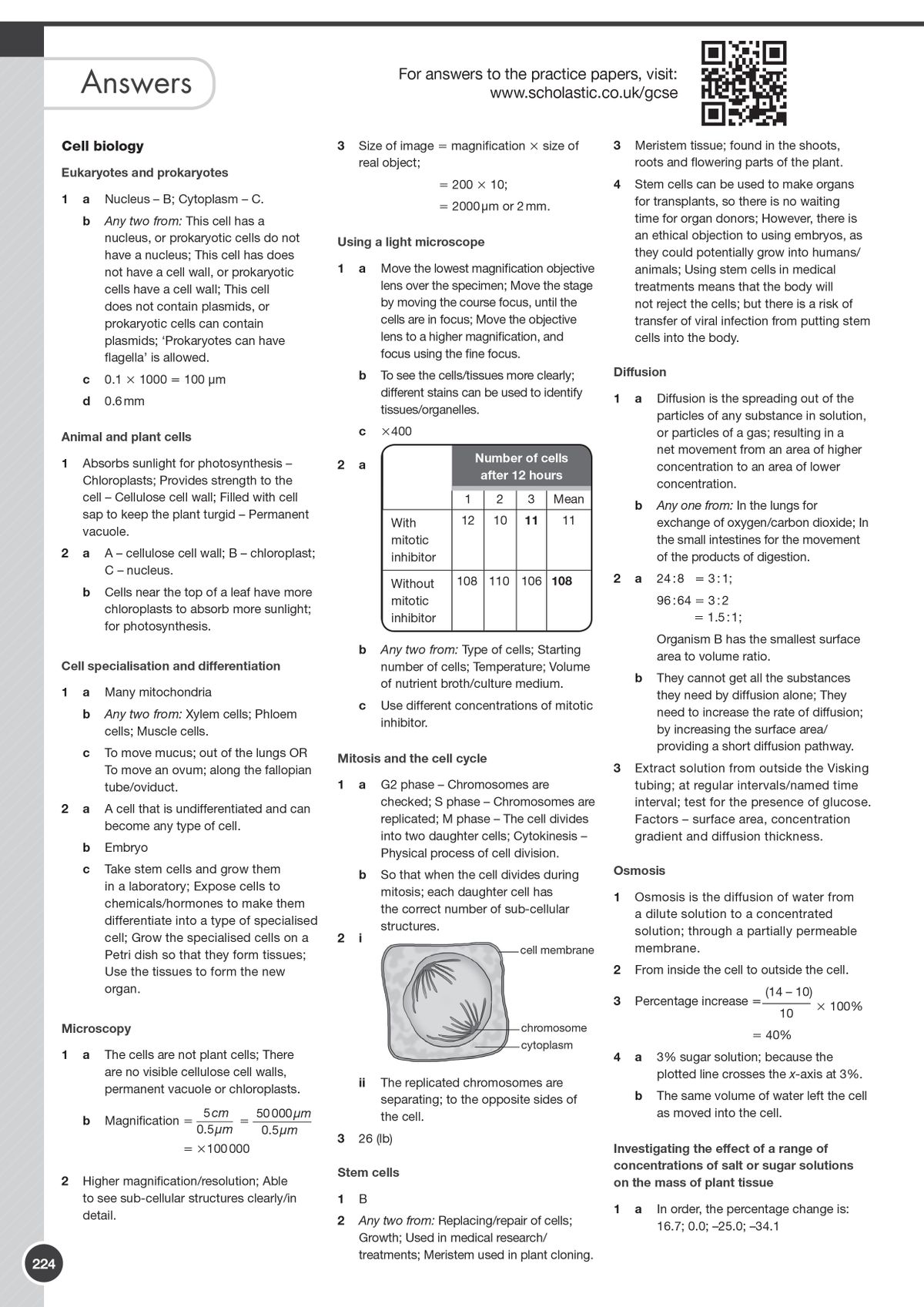 Answers section displaying worked solutions for cell biology, microscopy and diffusion topics