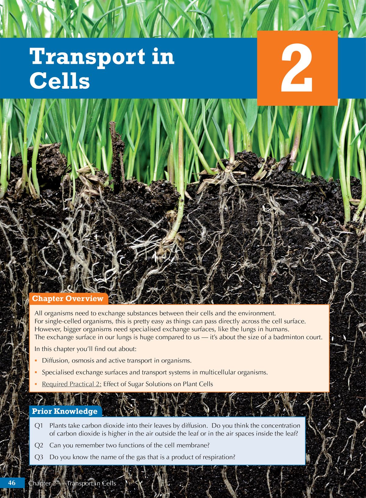 Chapter opener for Transport in Cells showing plant roots and soil with overview and prior knowledge questions