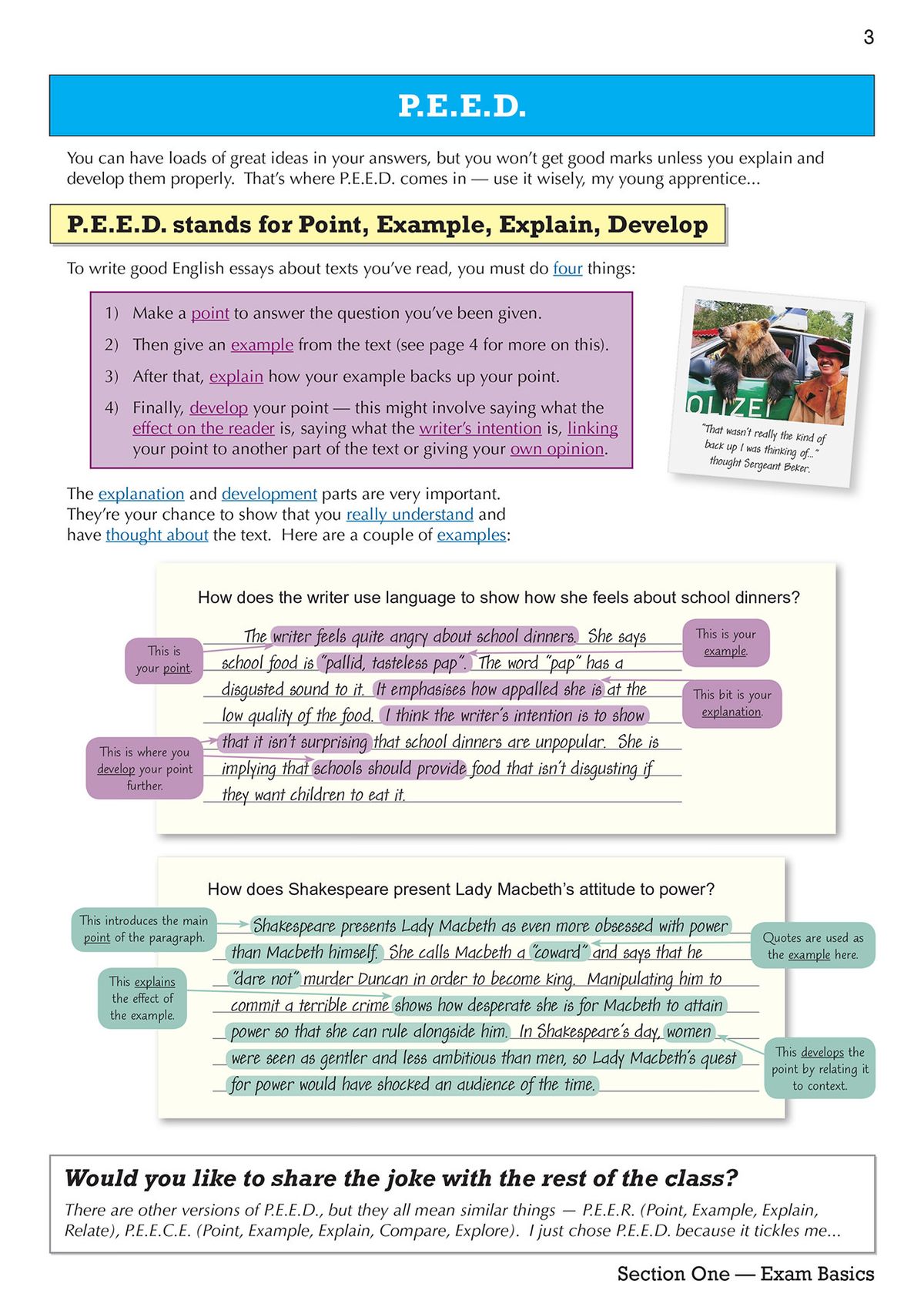 Sample page demonstrating the P.E.E.D. writing technique with annotated examples