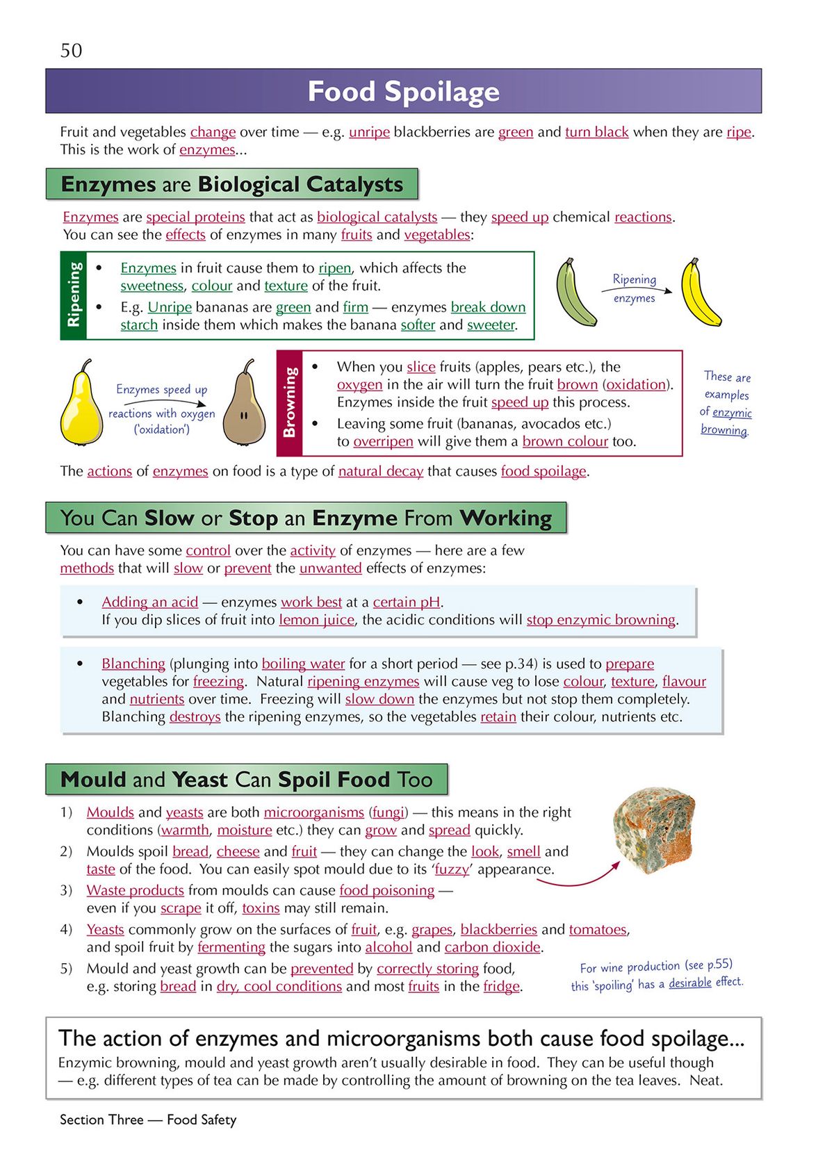 Inside page on food spoilage continued, showing enzyme activity and prevention methods