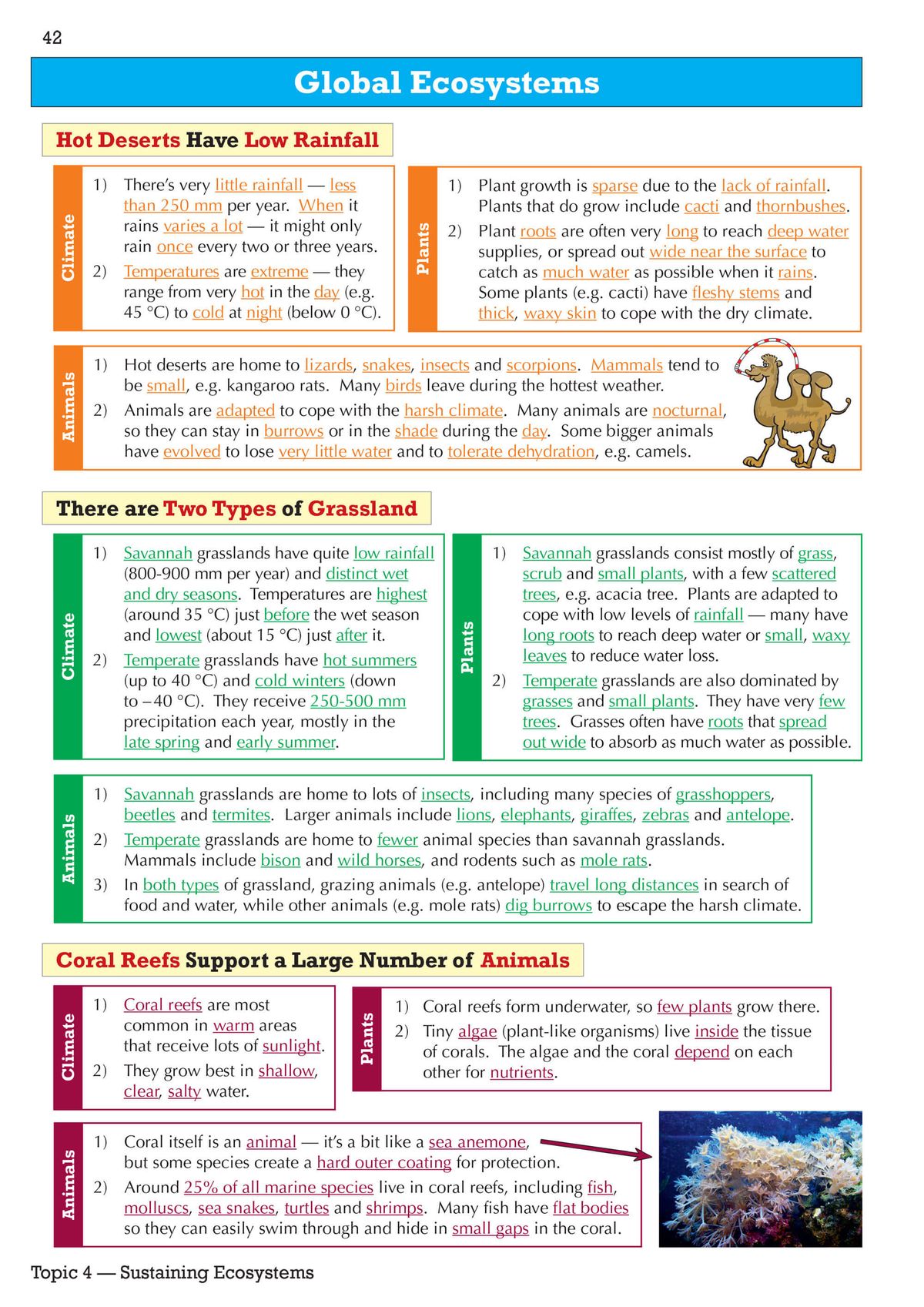 Inside pages showing ecosystems content with colour-coded sections for climate, plants and animals