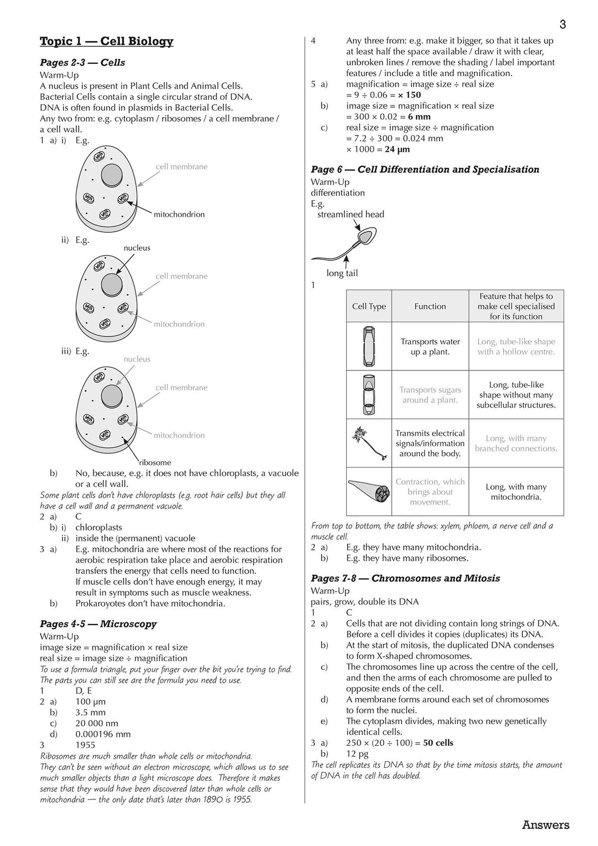 Sample page showing full worked answers for AQA GCSE Biology topics including cell biology, microscopy, chromosomes and mitosis