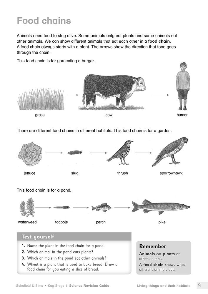 Sample page on food chains with diagrams and Test yourself questions