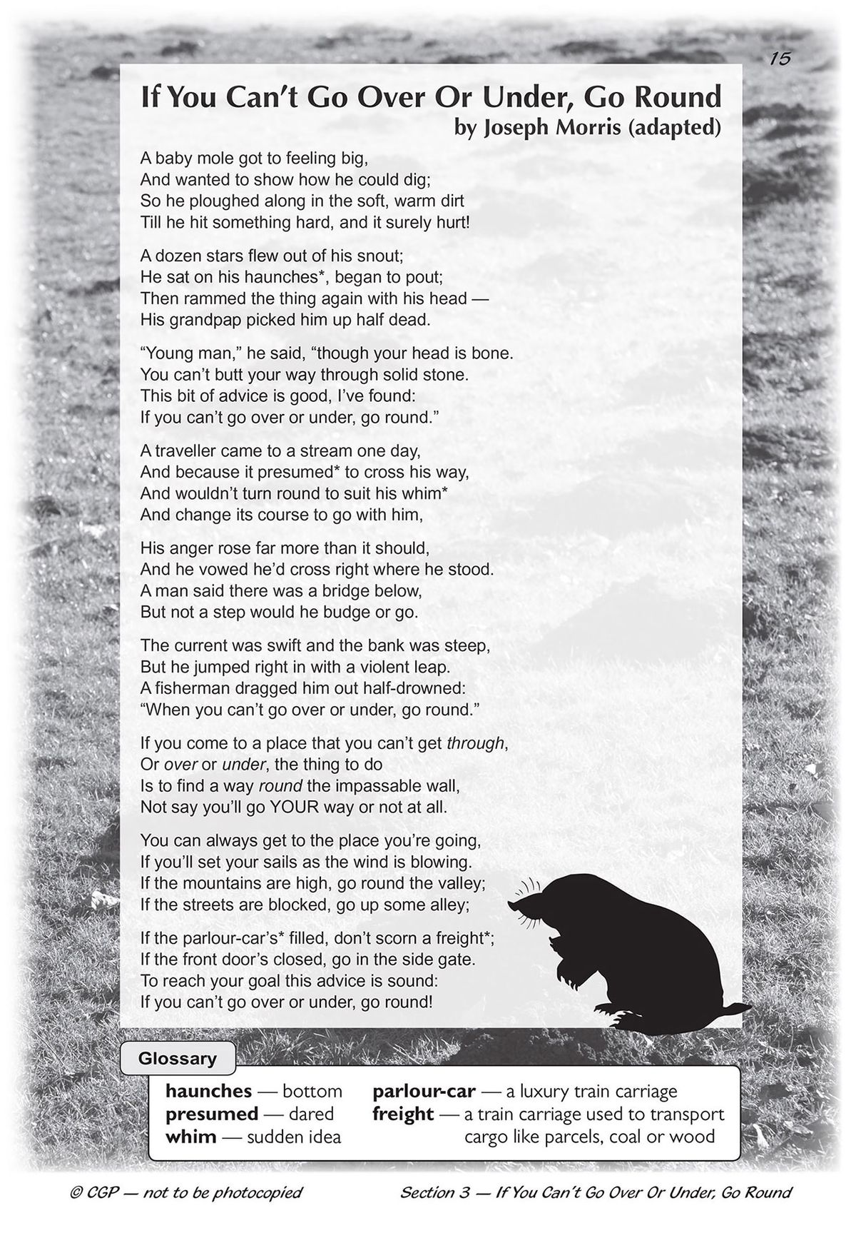 Full-page view of a KS2 poetry passage and glossary in CGP SAT Buster workbook