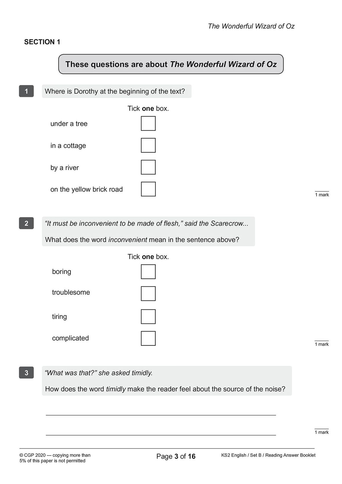 Sample reading comprehension paper with text passage and comprehension questions