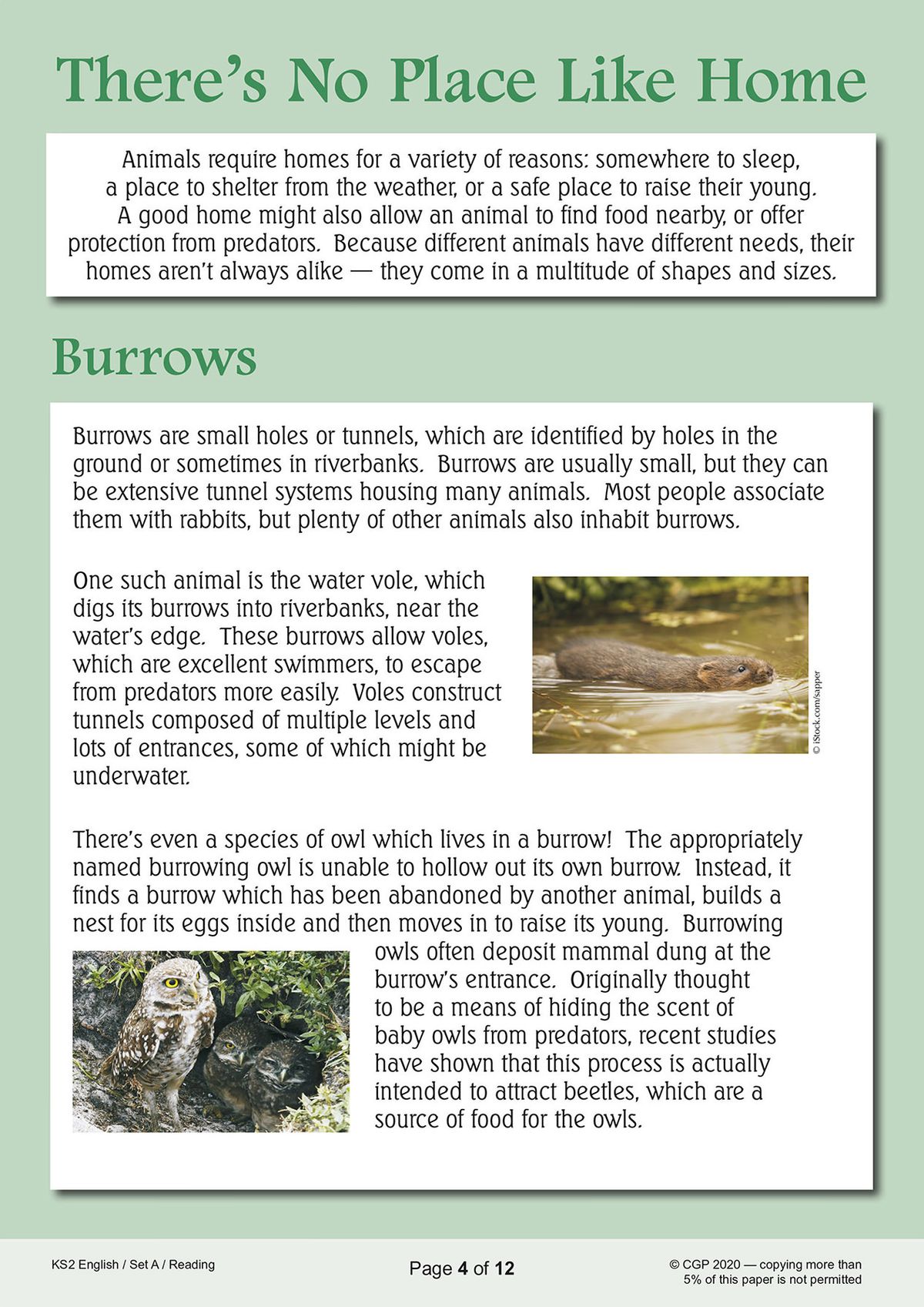 Reading comprehension practice paper showing a text about animal burrows and homes