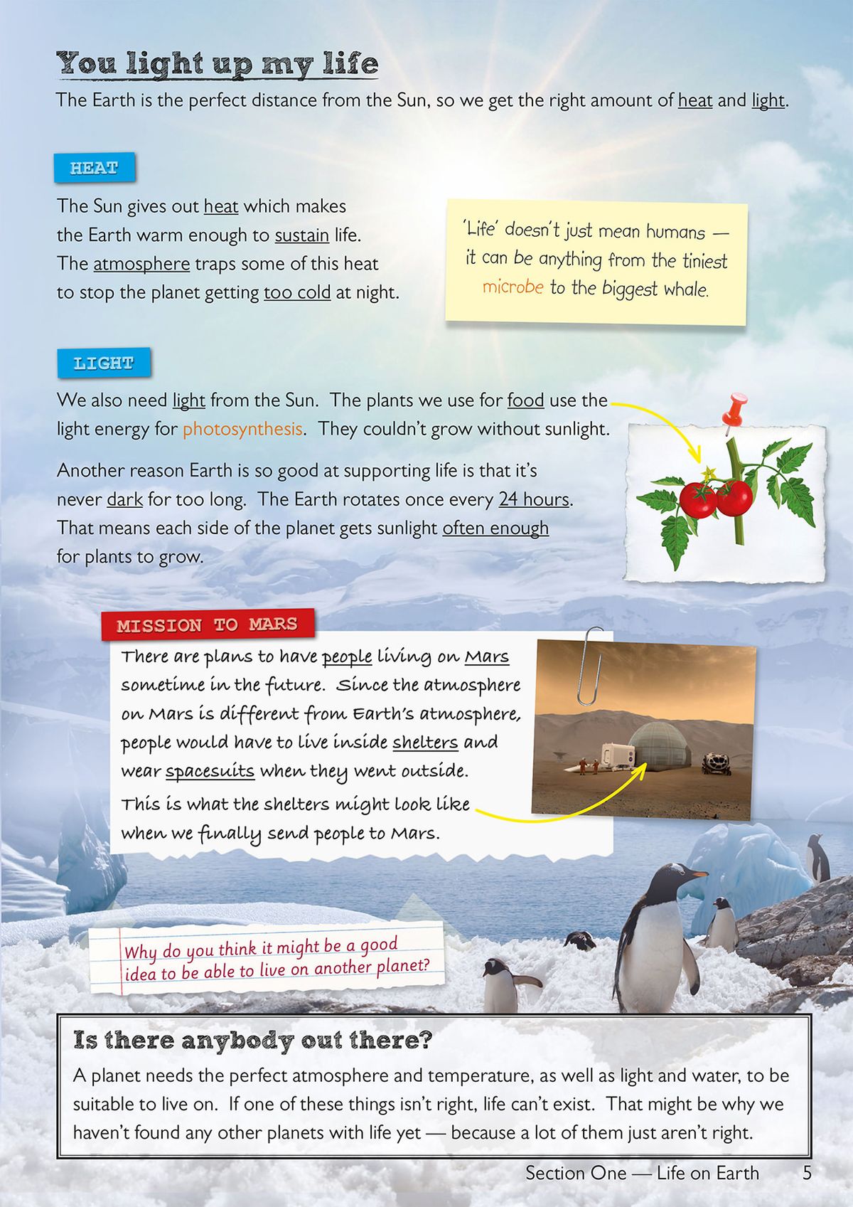Page showing the solar system with planetary orbits and fact sheet about Earth