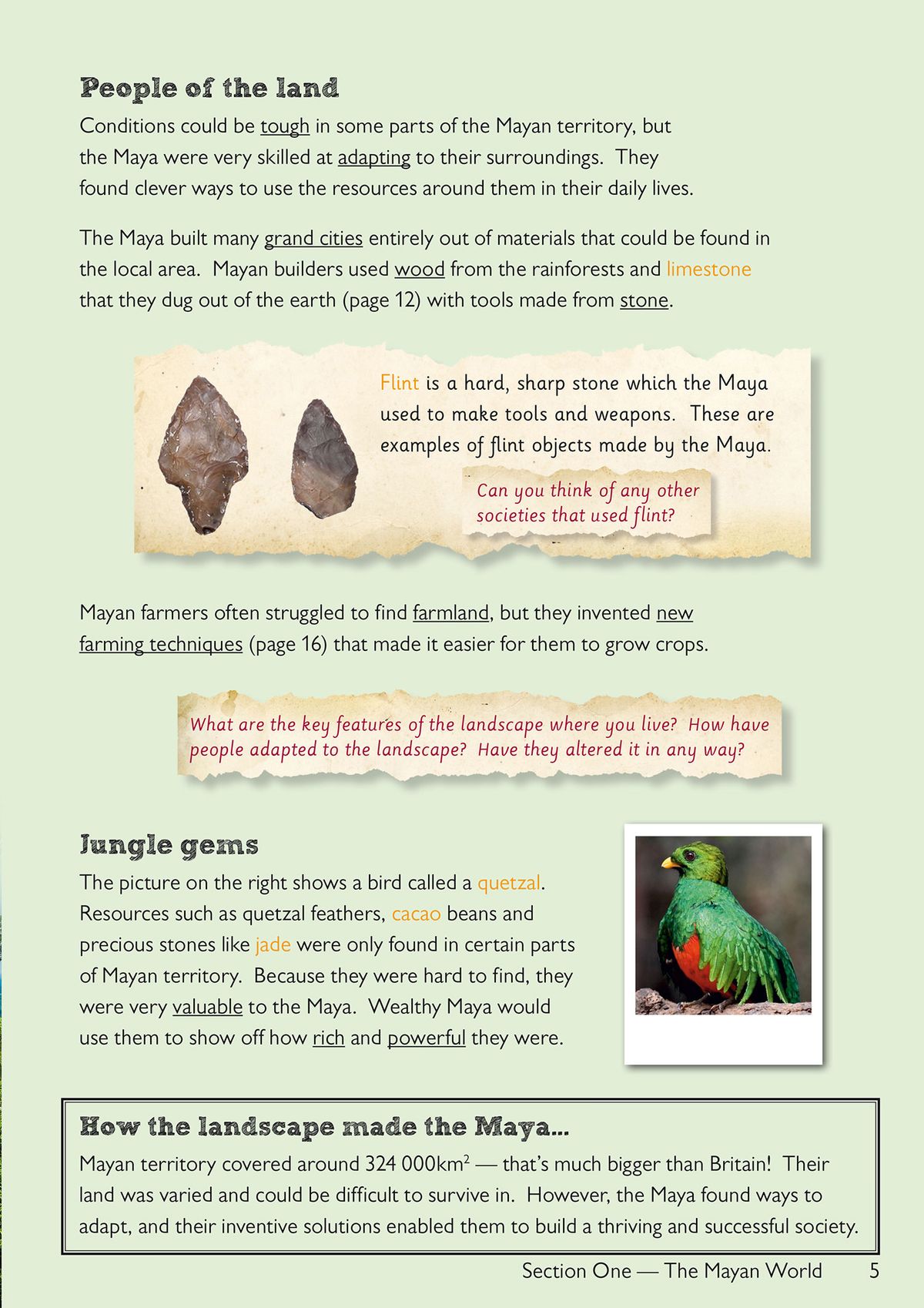 Page about resources and landscape, showing flint tools, a colourful quetzal bird and questions about Mayan adaptation