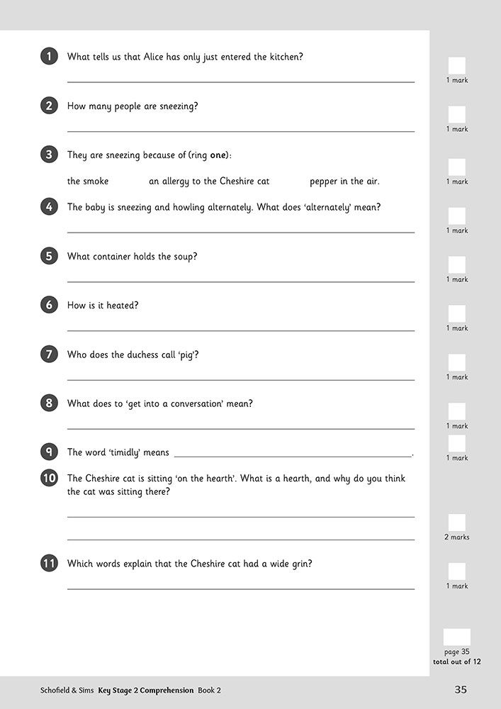 Sample comprehension questions from the Alice in Wonderland extract