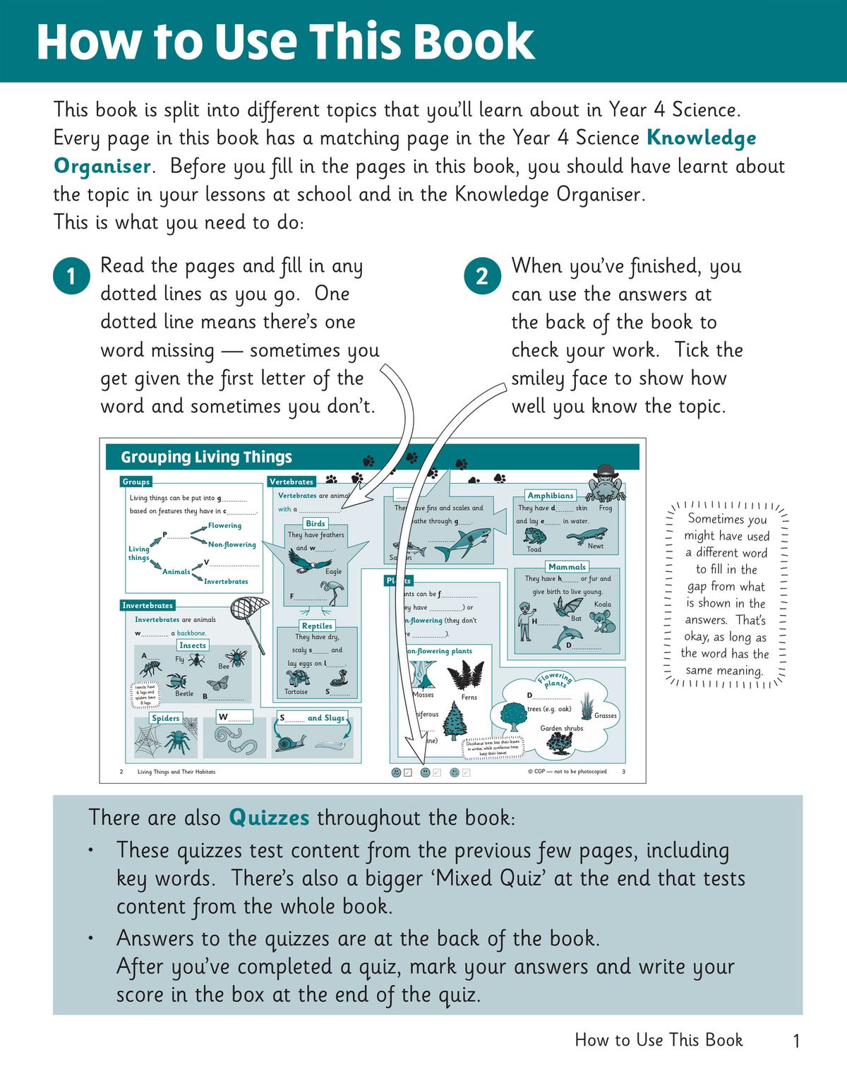 How to Use This Book page showing step-by-step instructions and sample spreads