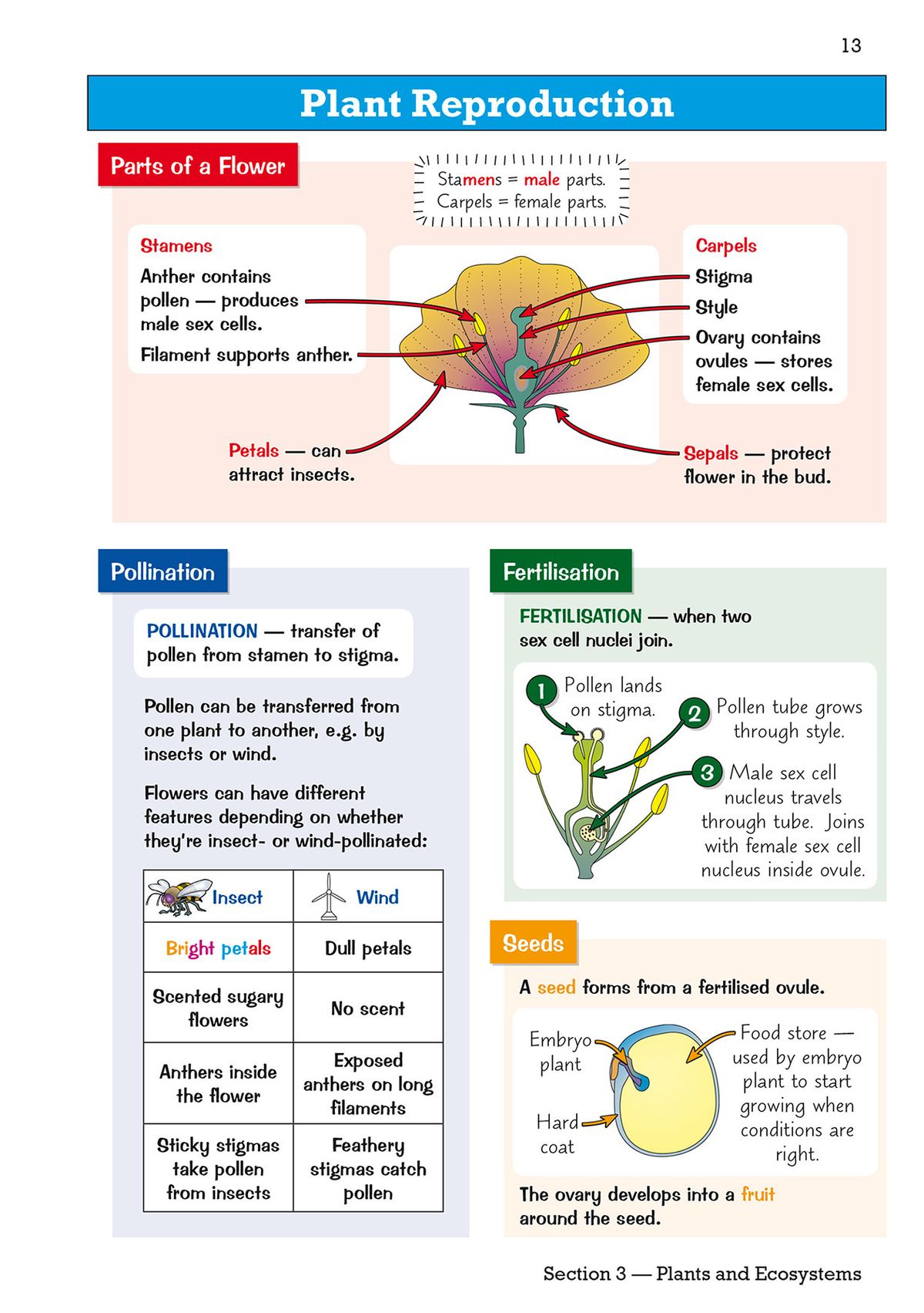 Colour-coded page on plant reproduction showing parts of a flower, pollination, fertilisation and seeds with diagrams and tables