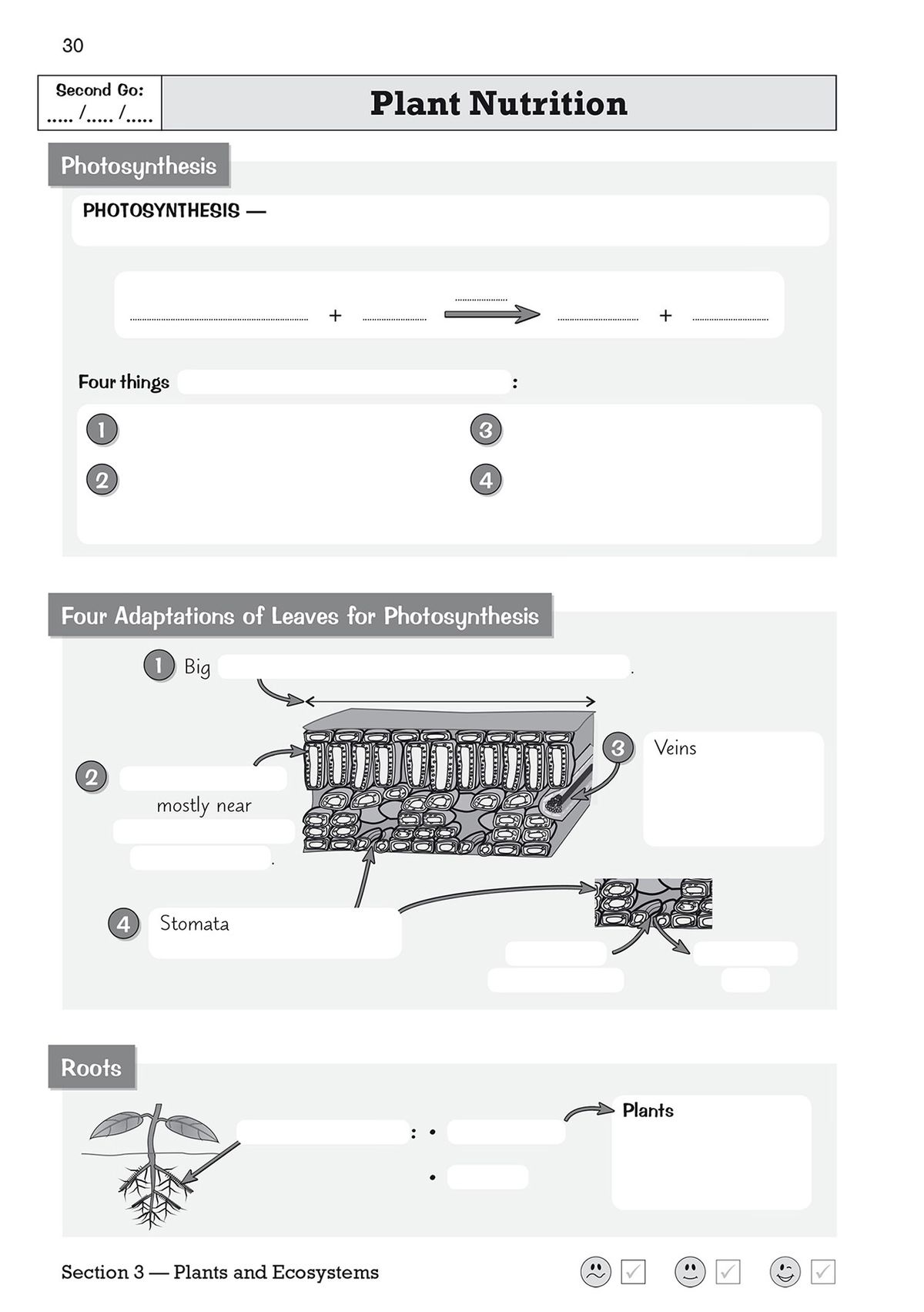 Second-pass retrieval page with more challenging blanks on the same photosynthesis topic