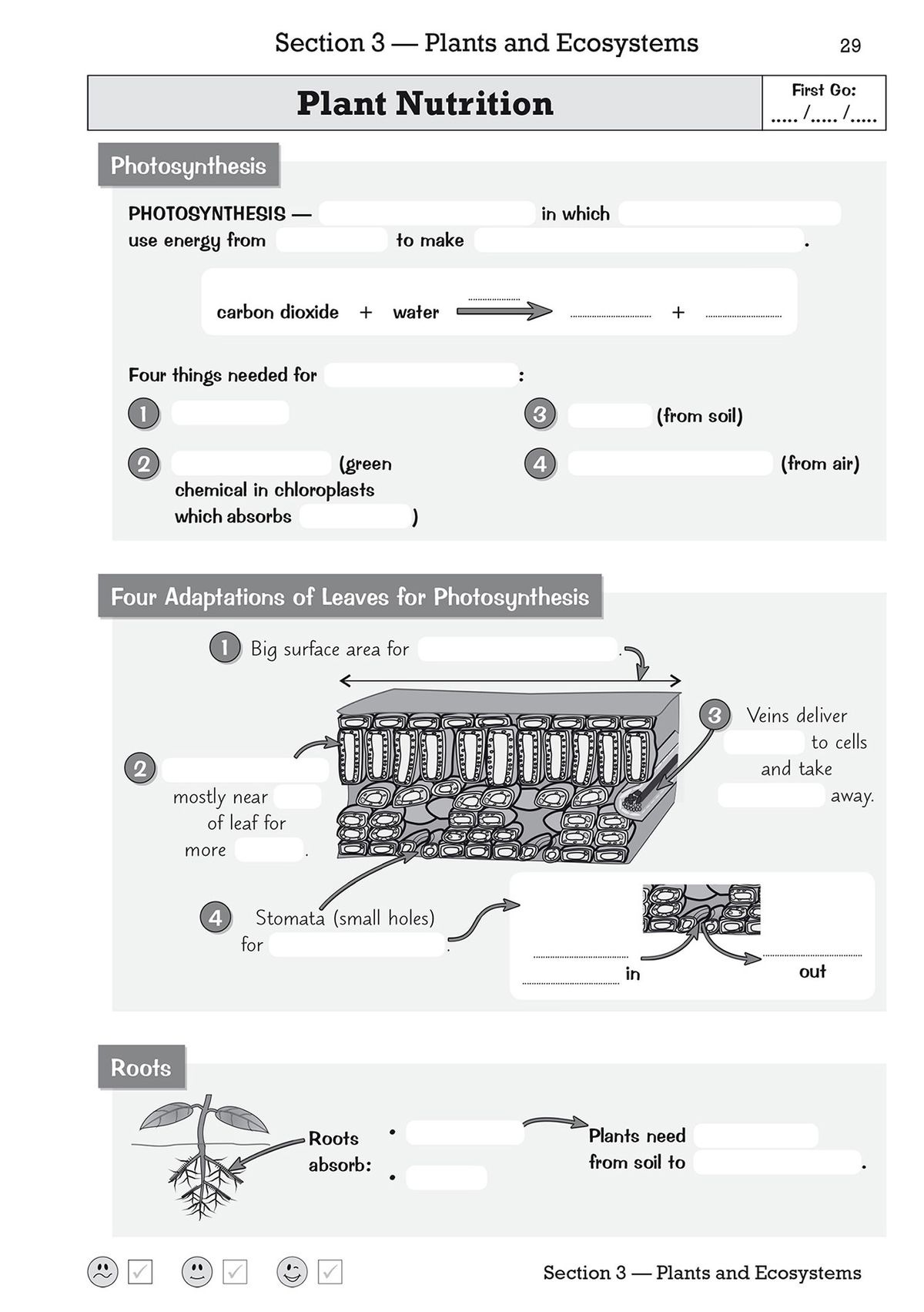 Sample page showing photosynthesis retrieval exercises with blanks to complete