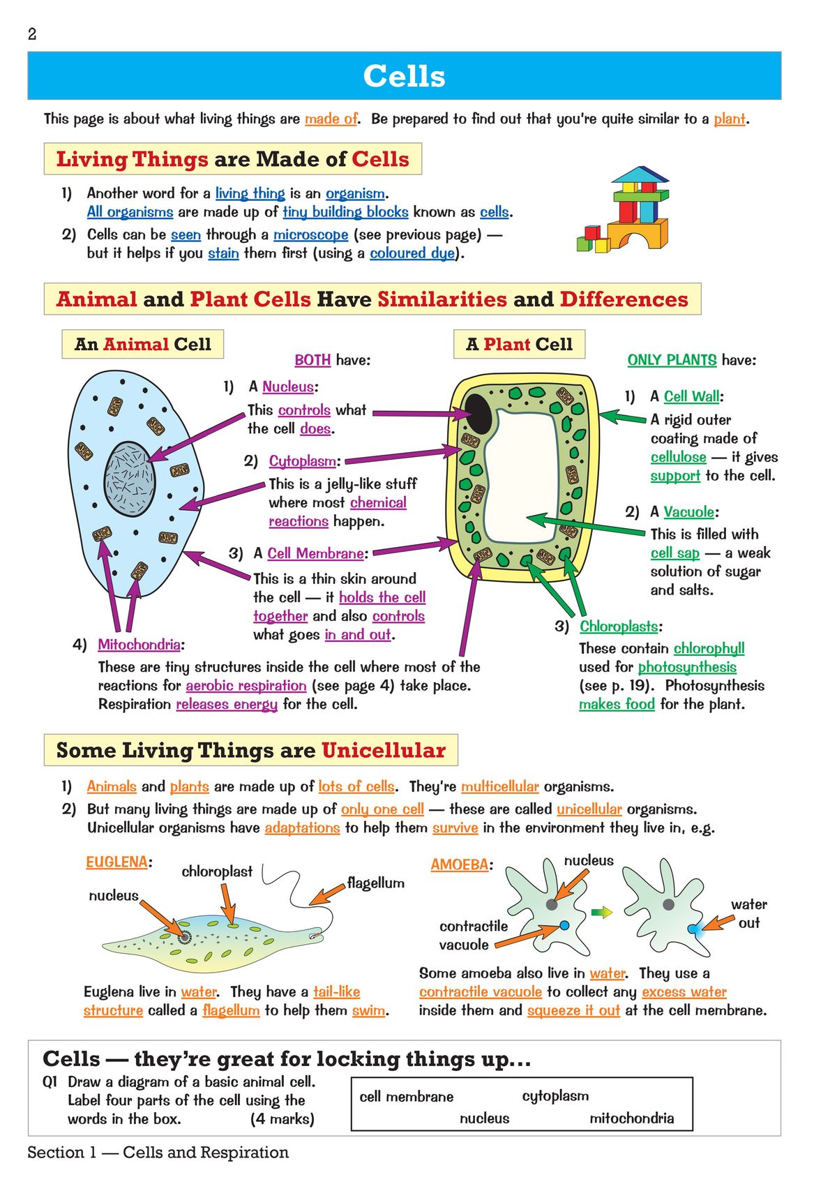 Sample page showing chemical reactions section with balanced equations and worked examples