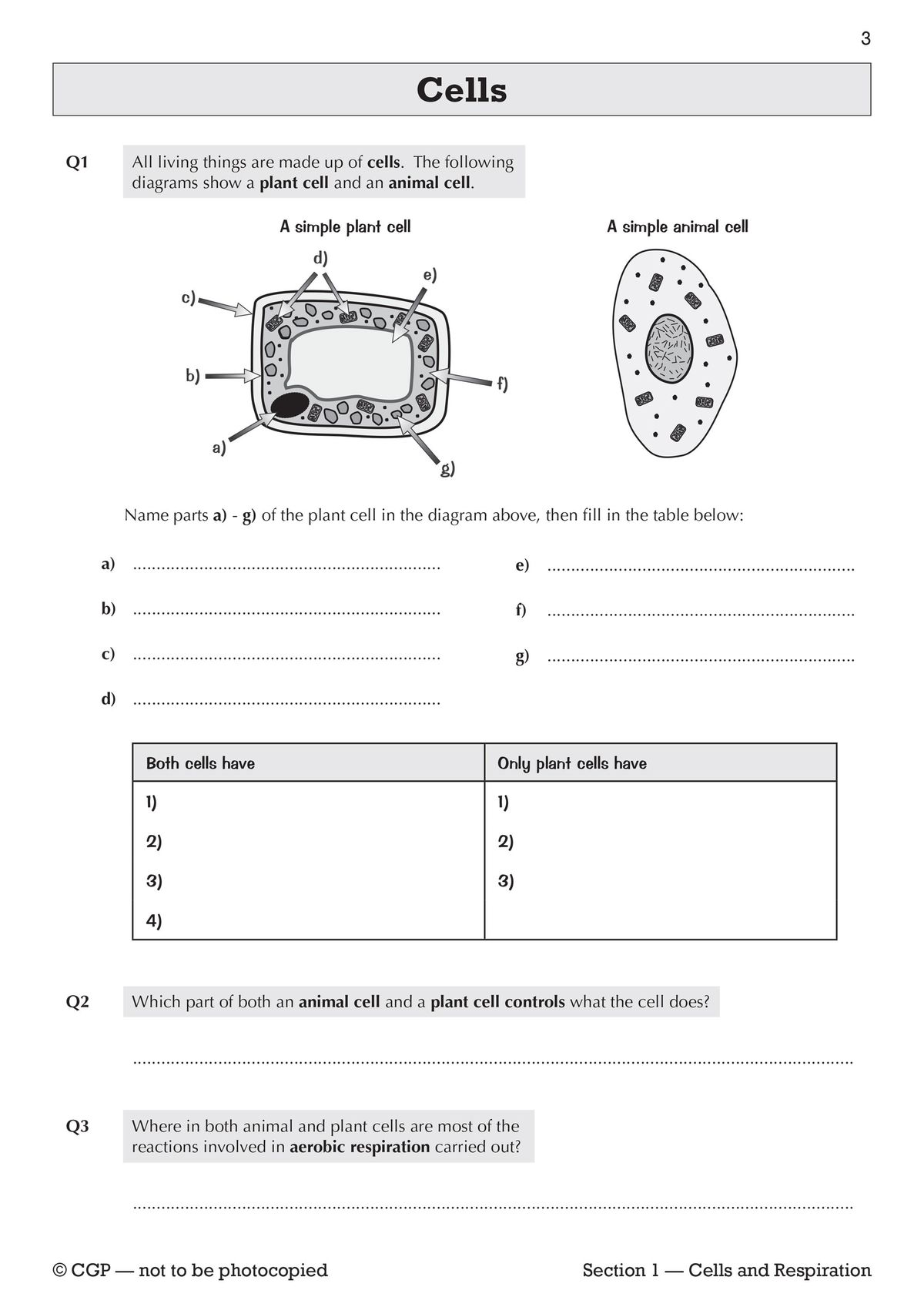 Pupils label parts of a plant cell diagram, compare plant and animal cells in a table