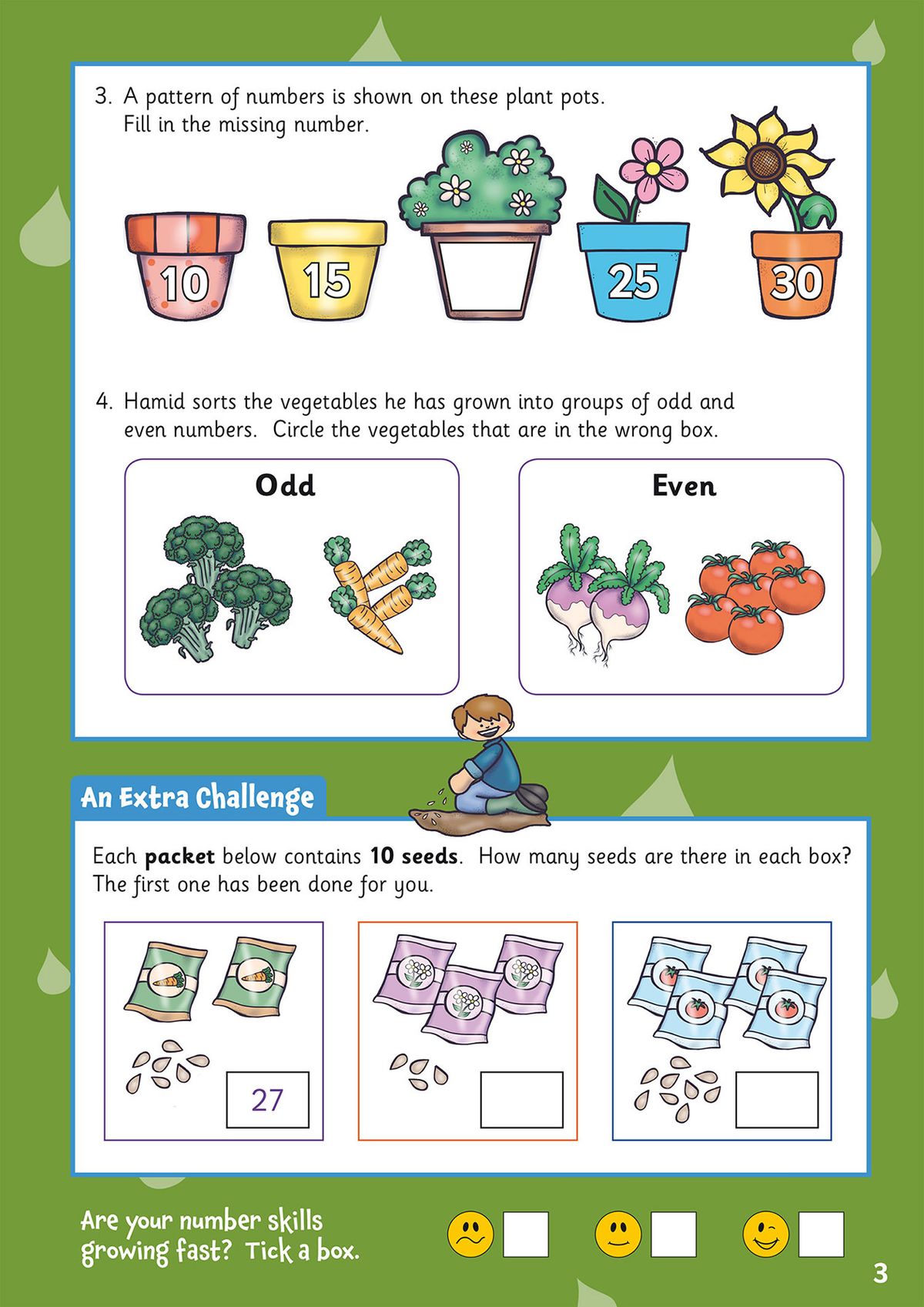 Sample page featuring number sequences on plant pots and odd-even sorting activities with vegetables
