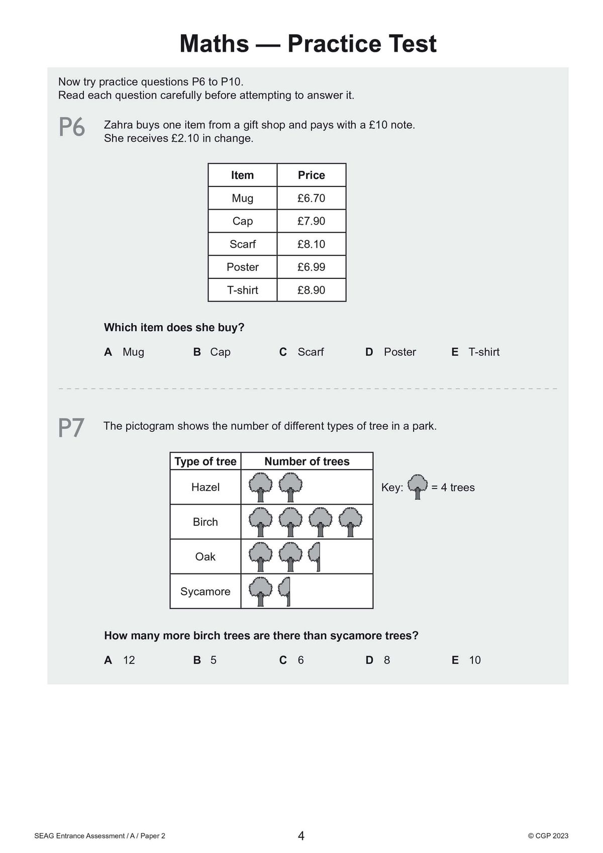 Sample Maths practice test page showing multiple-choice problem-solving questions with pictograms