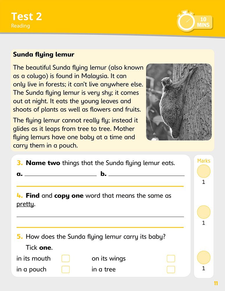 Sample reading comprehension test page featuring a non-fiction passage about the Sunda flying lemur