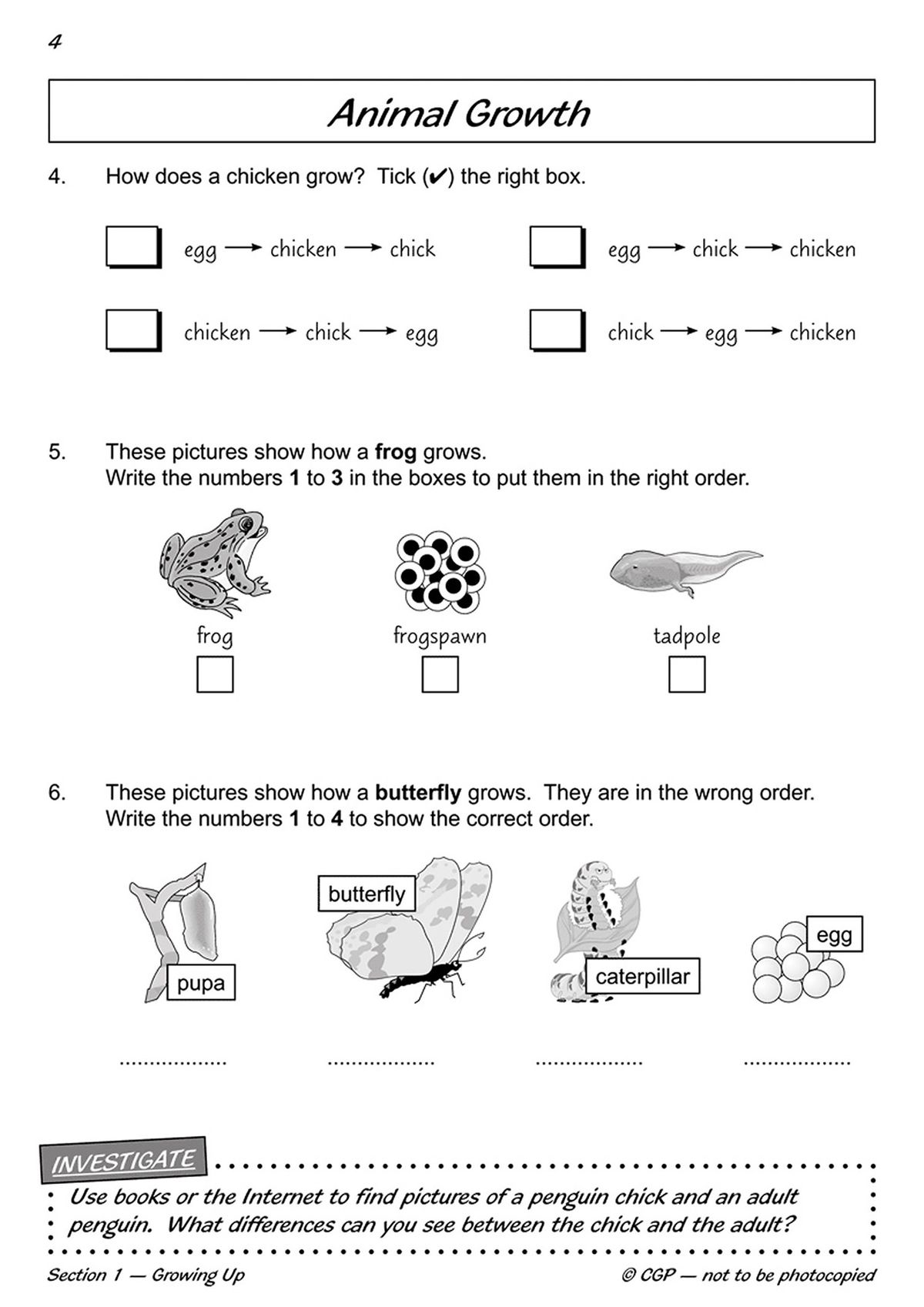 Sample page showing life cycle questions with frog and butterfly stages