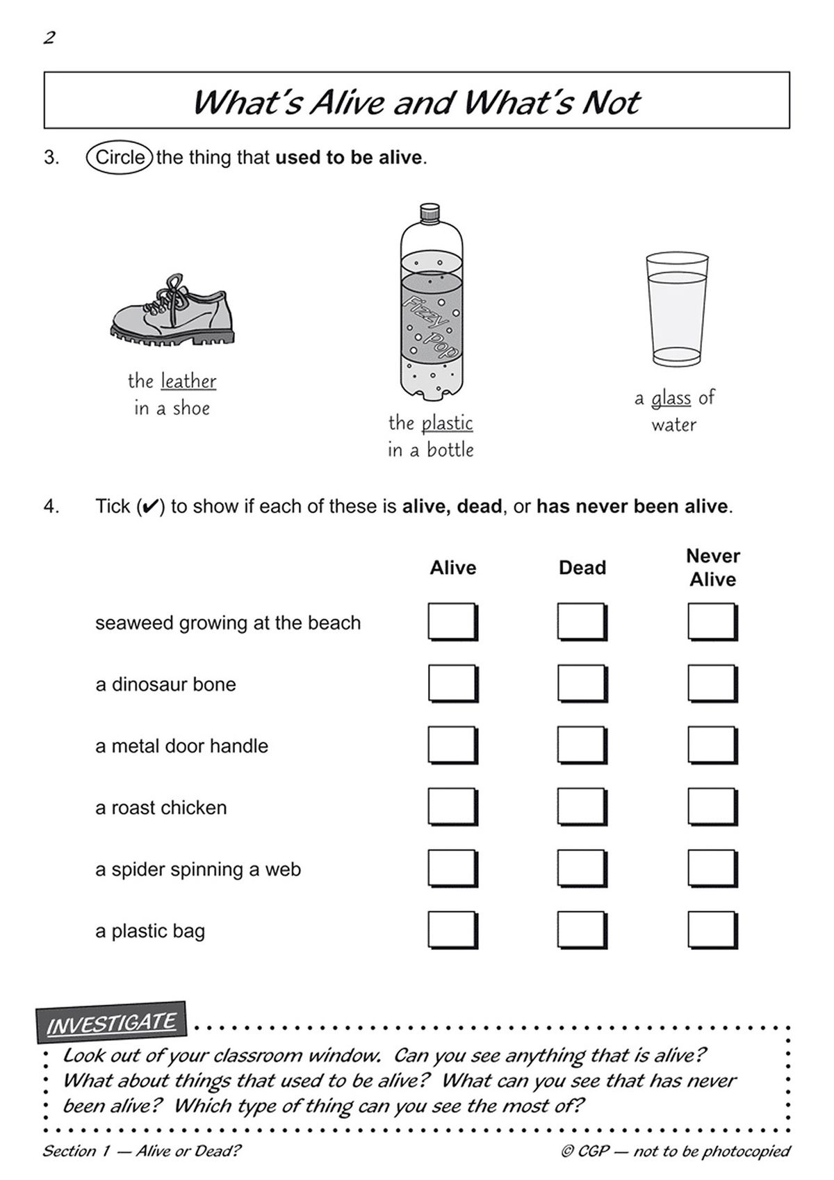 Sample page showing activities on identifying alive, dead and never alive objects