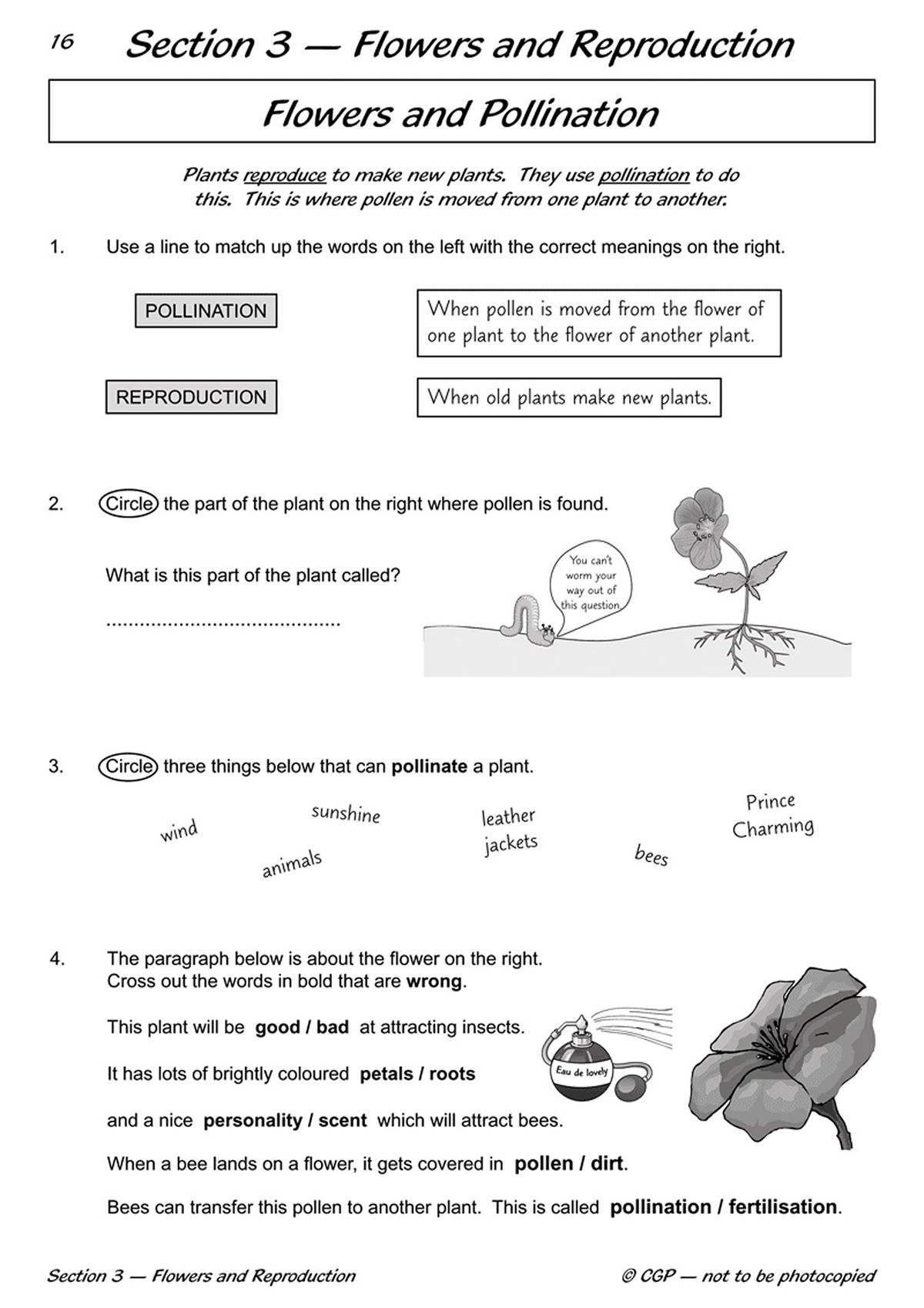 Inside page showing flowers and pollination activities with matching exercises and diagrams