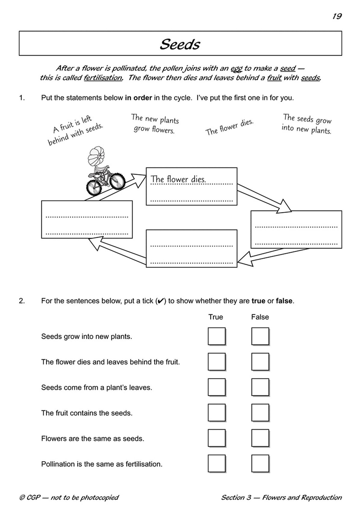 Workbook page about seeds showing lifecycle sequencing and true or false questions