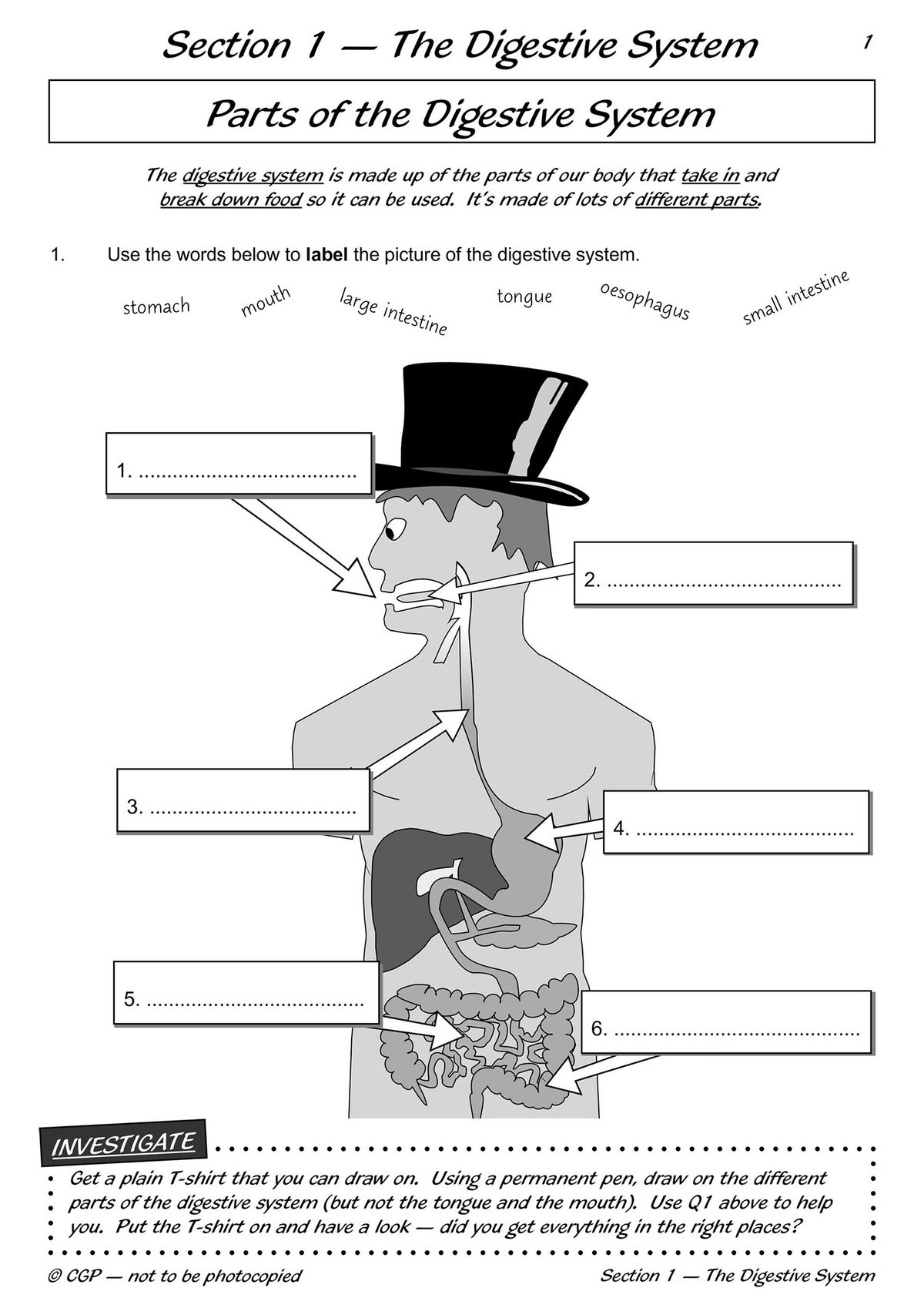 Year 4 Science Workout book cover showing teeth, digestion and food chains topics