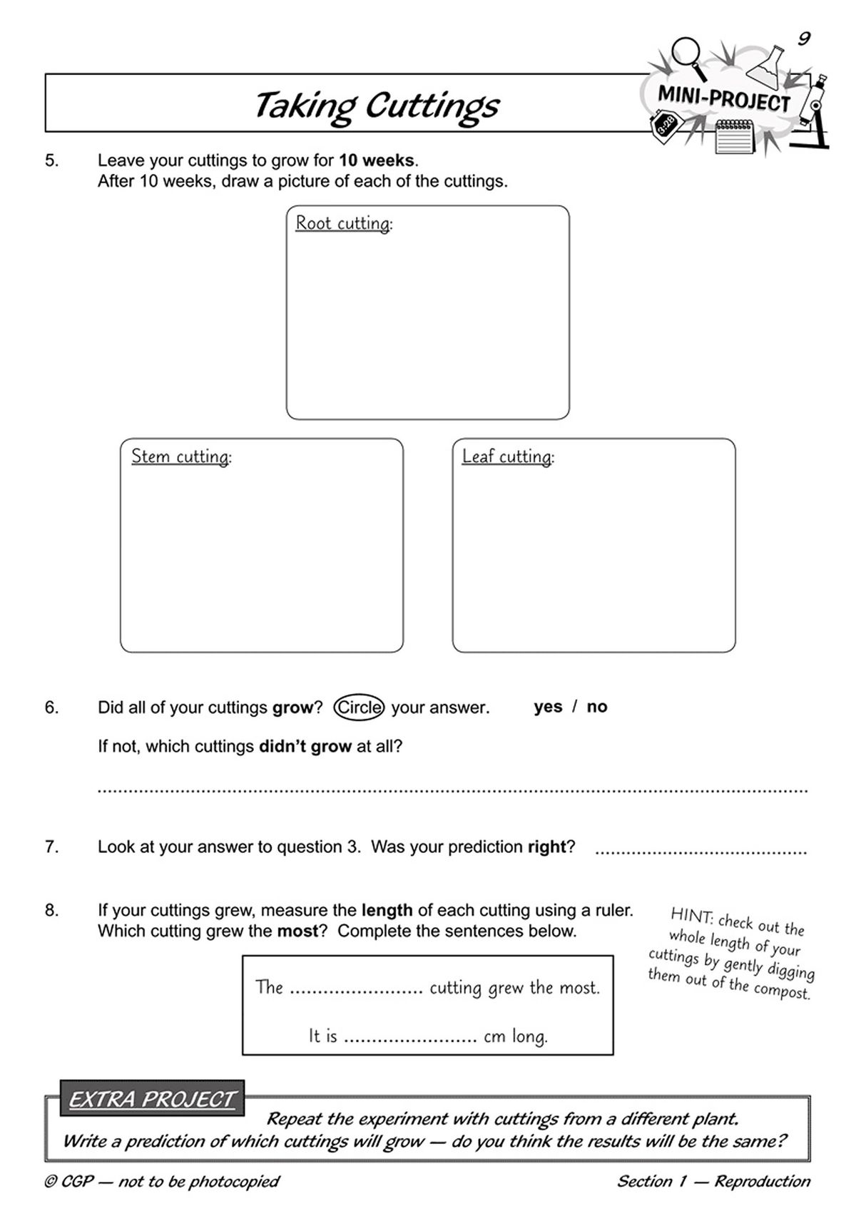 Step-by-step instructions for a plant cuttings mini-project