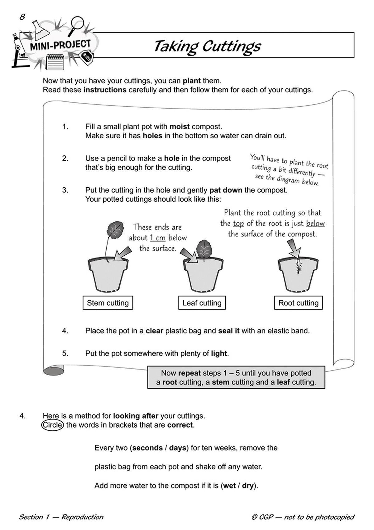 Results page for the plant cuttings experiment with measurement and observation prompts