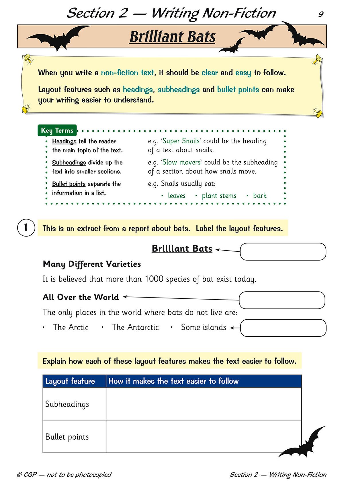 Inside page of Year 5 Writing Workbook showing non-fiction writing exercises about bats with layout features including headings, subheadings and bullet points