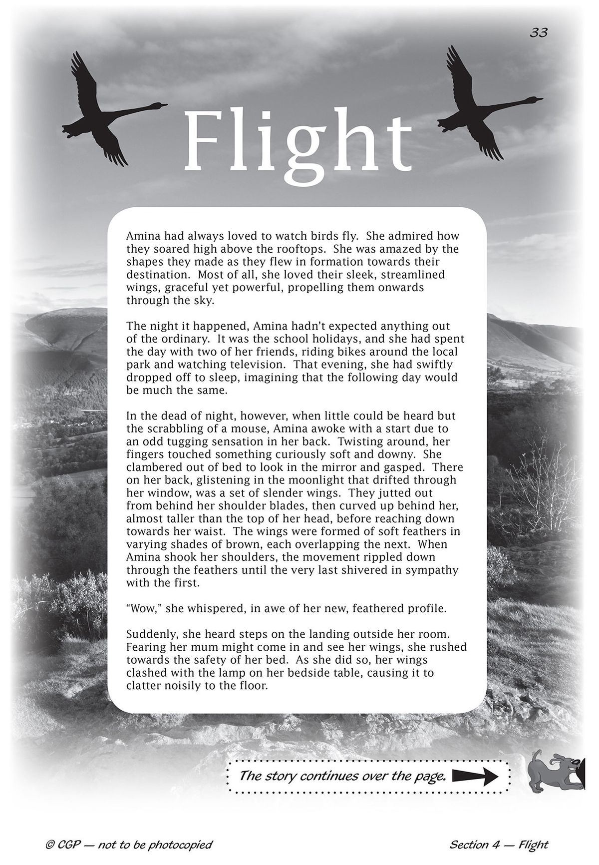 Sample fiction passage titled Flight showing a story about a girl named Amina