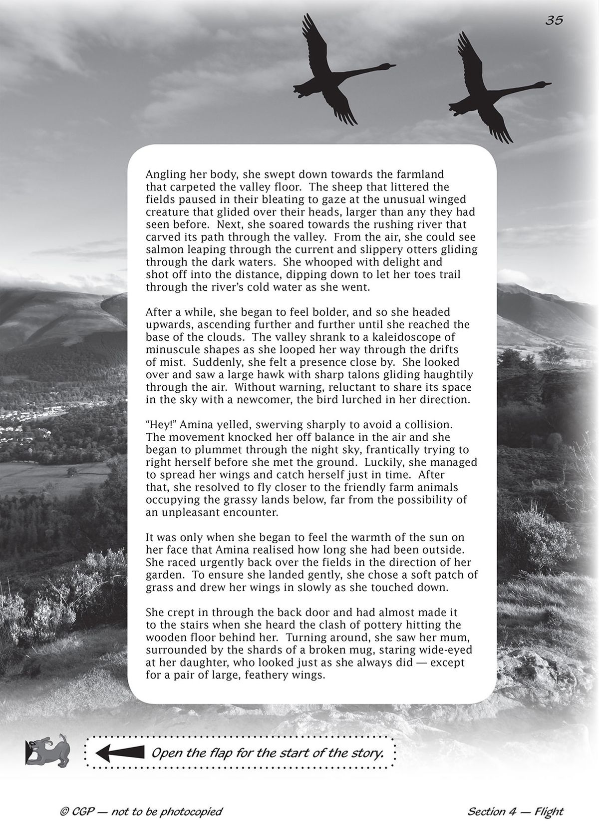 Continuation of the Flight story showing detailed narrative text and a flap instruction