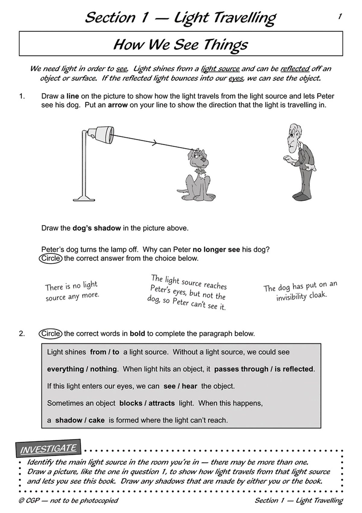 Children draw light paths and shadows, circle correct answers, and complete a paragraph about how we see things