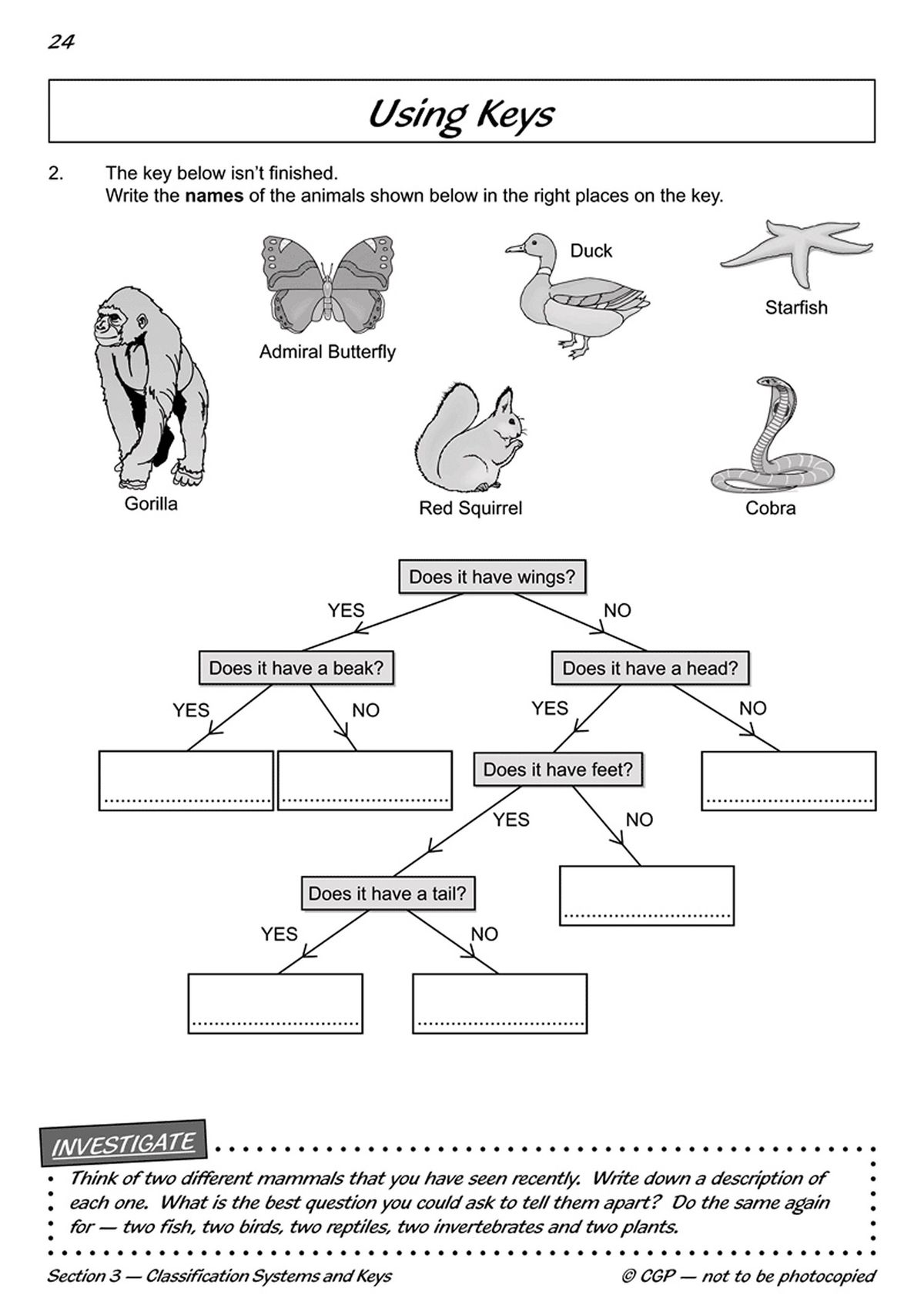 Classification keys activity page showing animals and a decision tree diagram